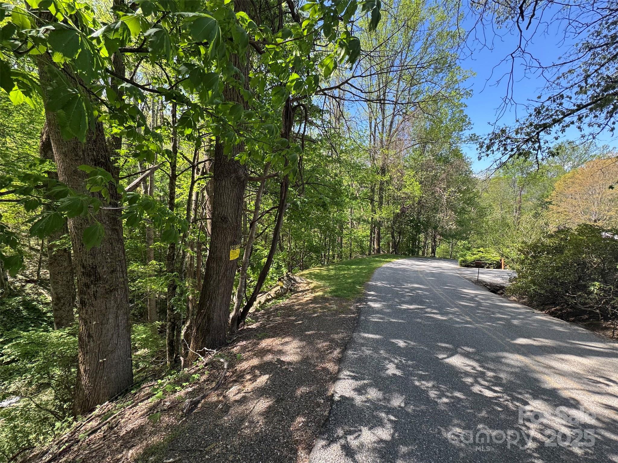 Tbd (b) Browning Branch Road Property Photo 15