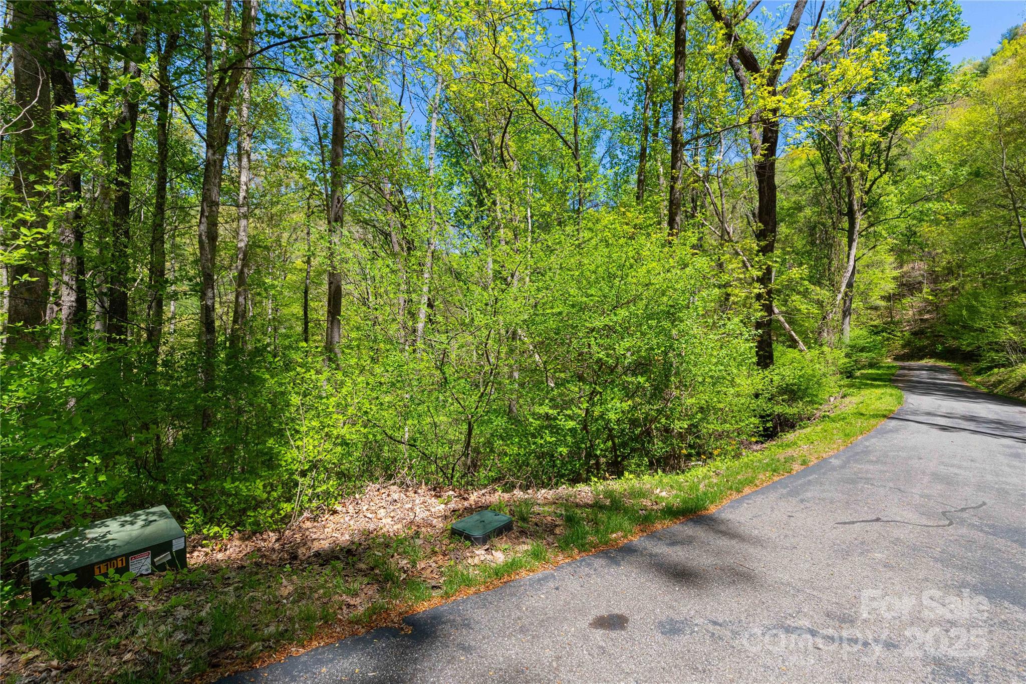 Tbd Whispering Woods Path Property Photo 1