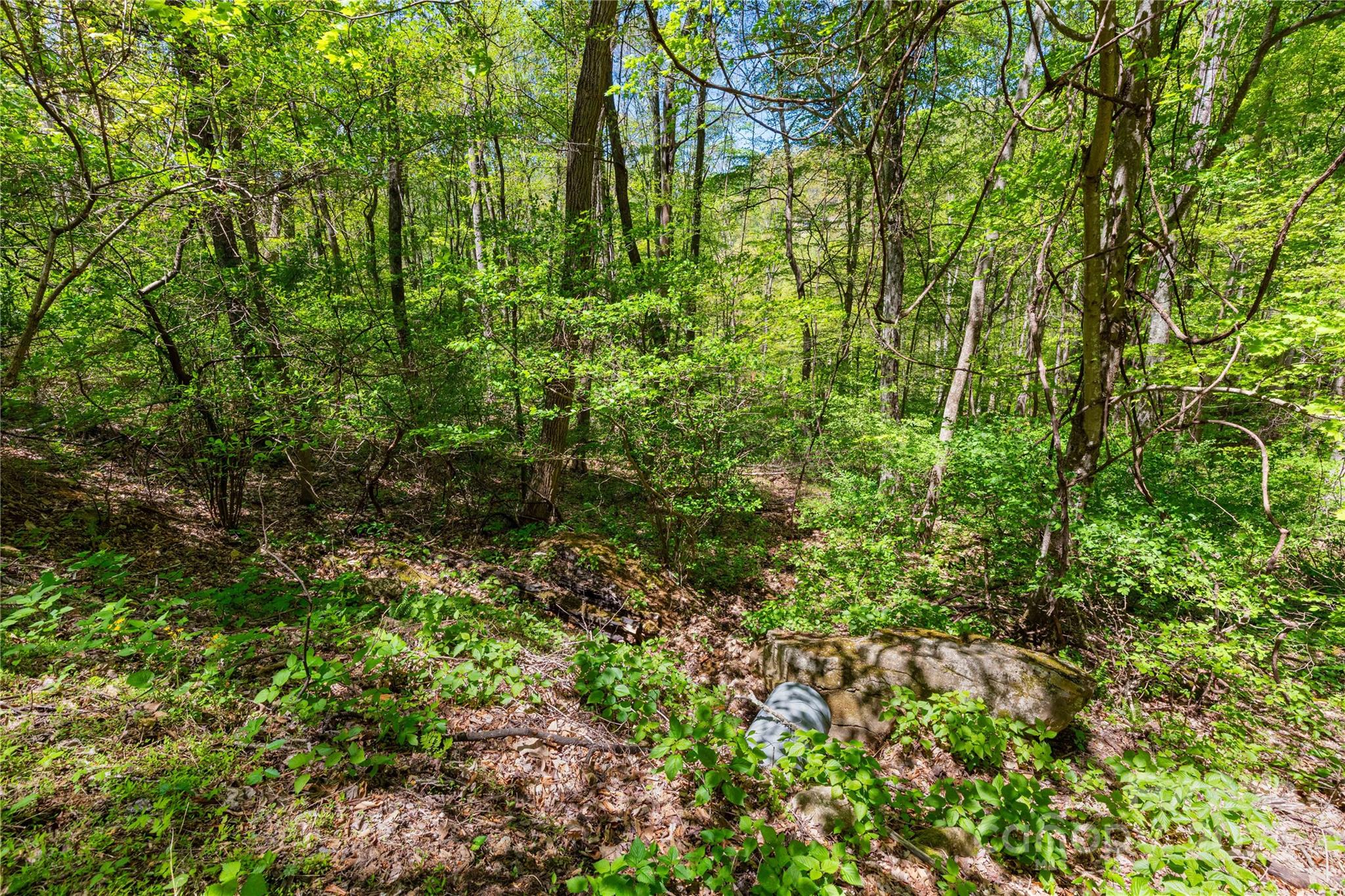 Tbd Whispering Woods Path Property Photo 4