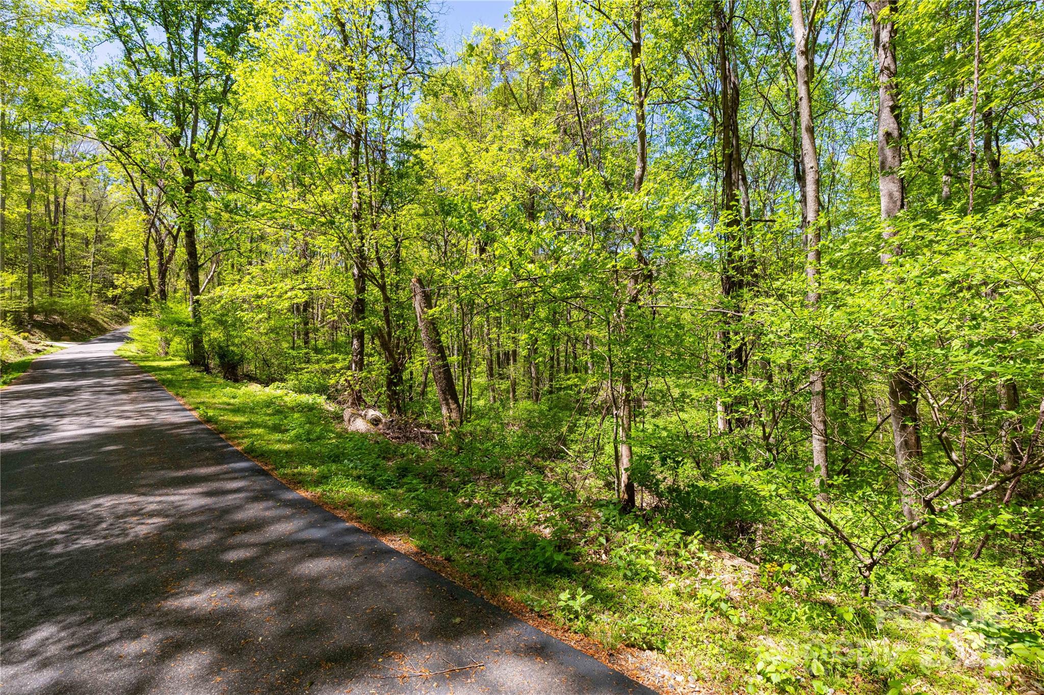 Tbd Whispering Woods Path Property Photo 5