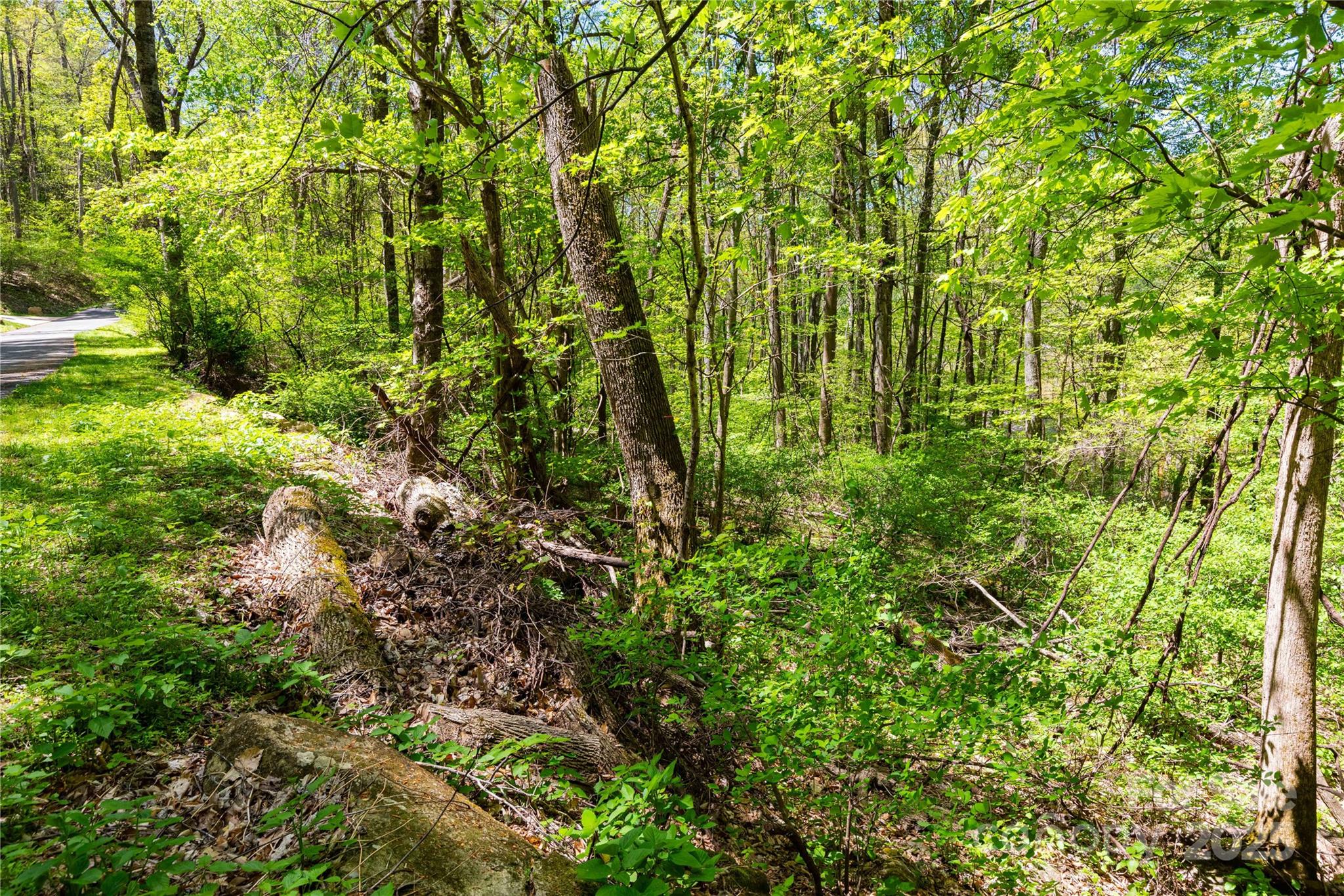 Tbd Whispering Woods Path Property Photo 6