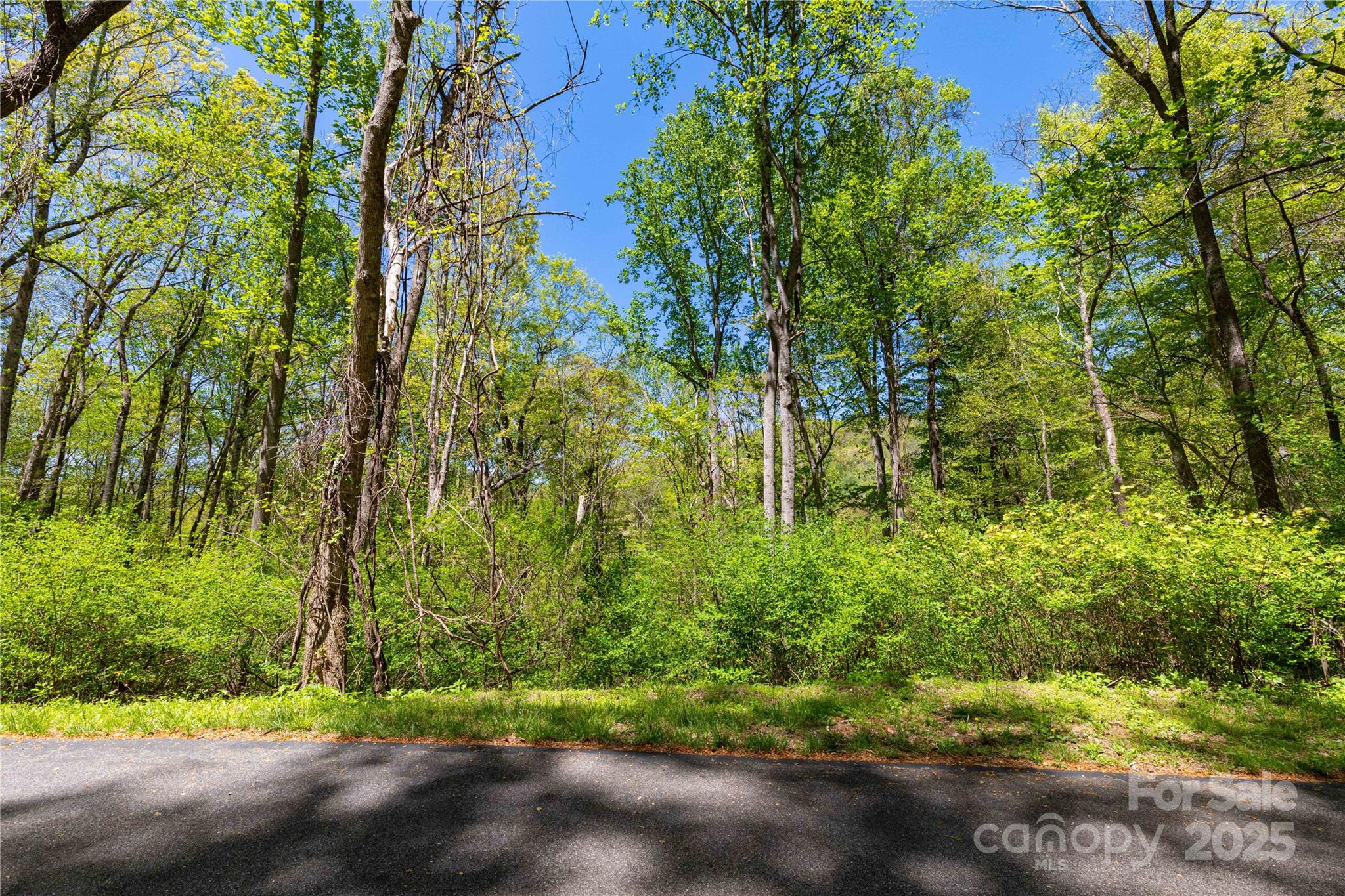 Tbd Whispering Woods Path Property Photo 7