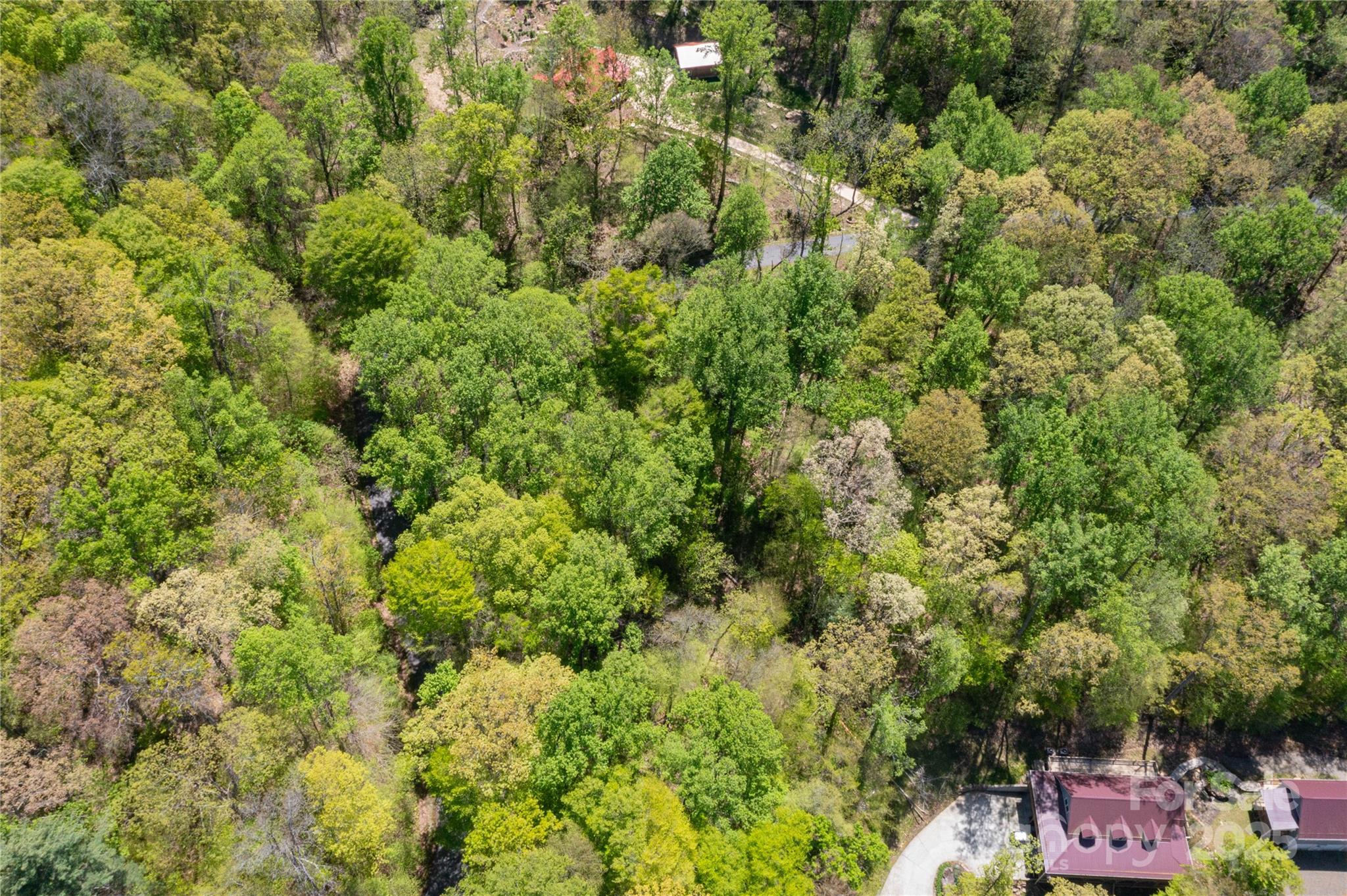 Tbd Whispering Woods Path Property Photo 9