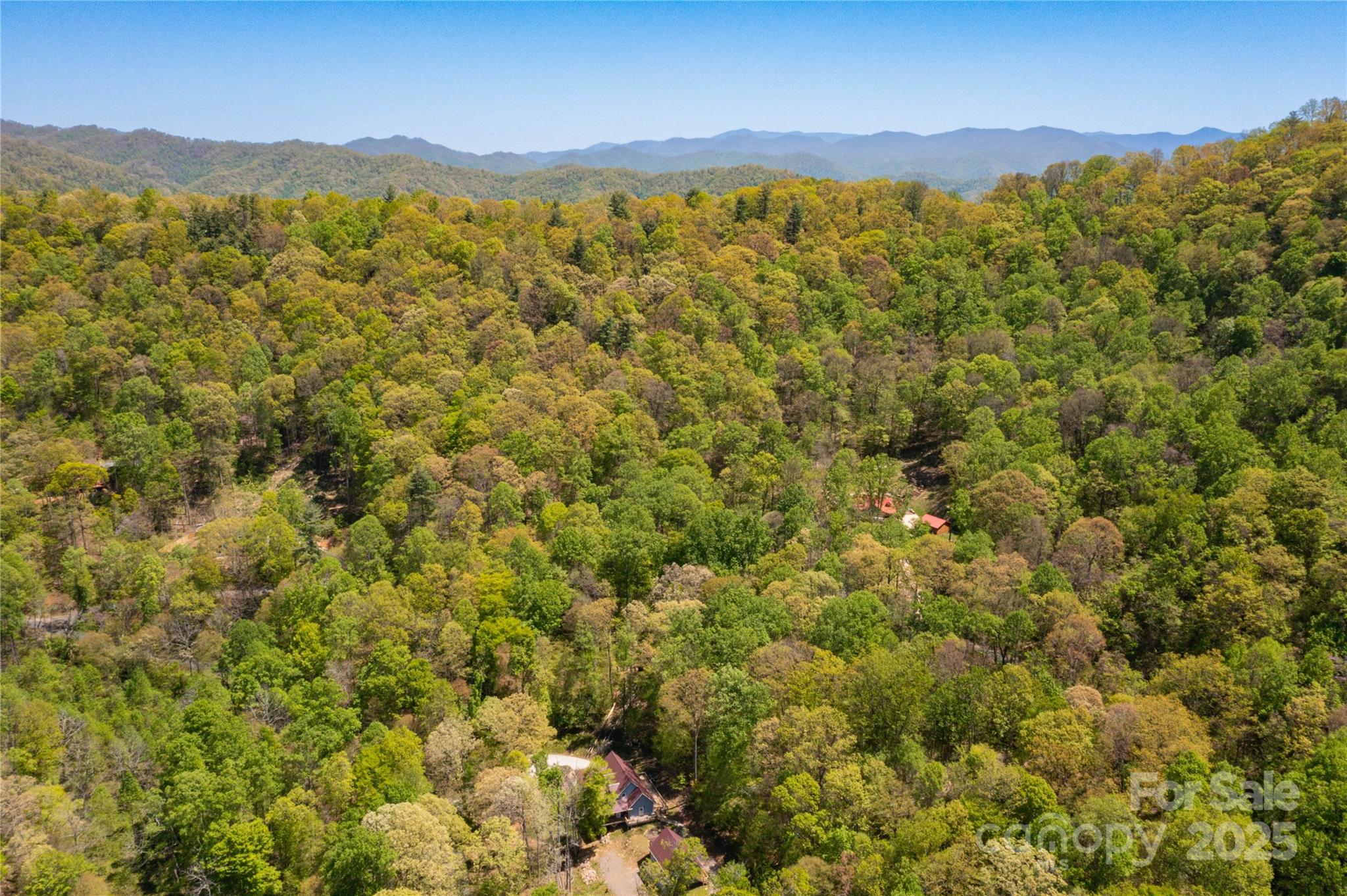 Tbd Whispering Woods Path Property Photo 13
