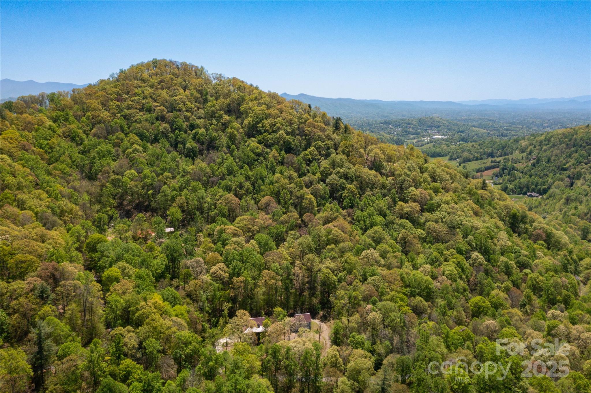 Tbd Whispering Woods Path Property Photo 15