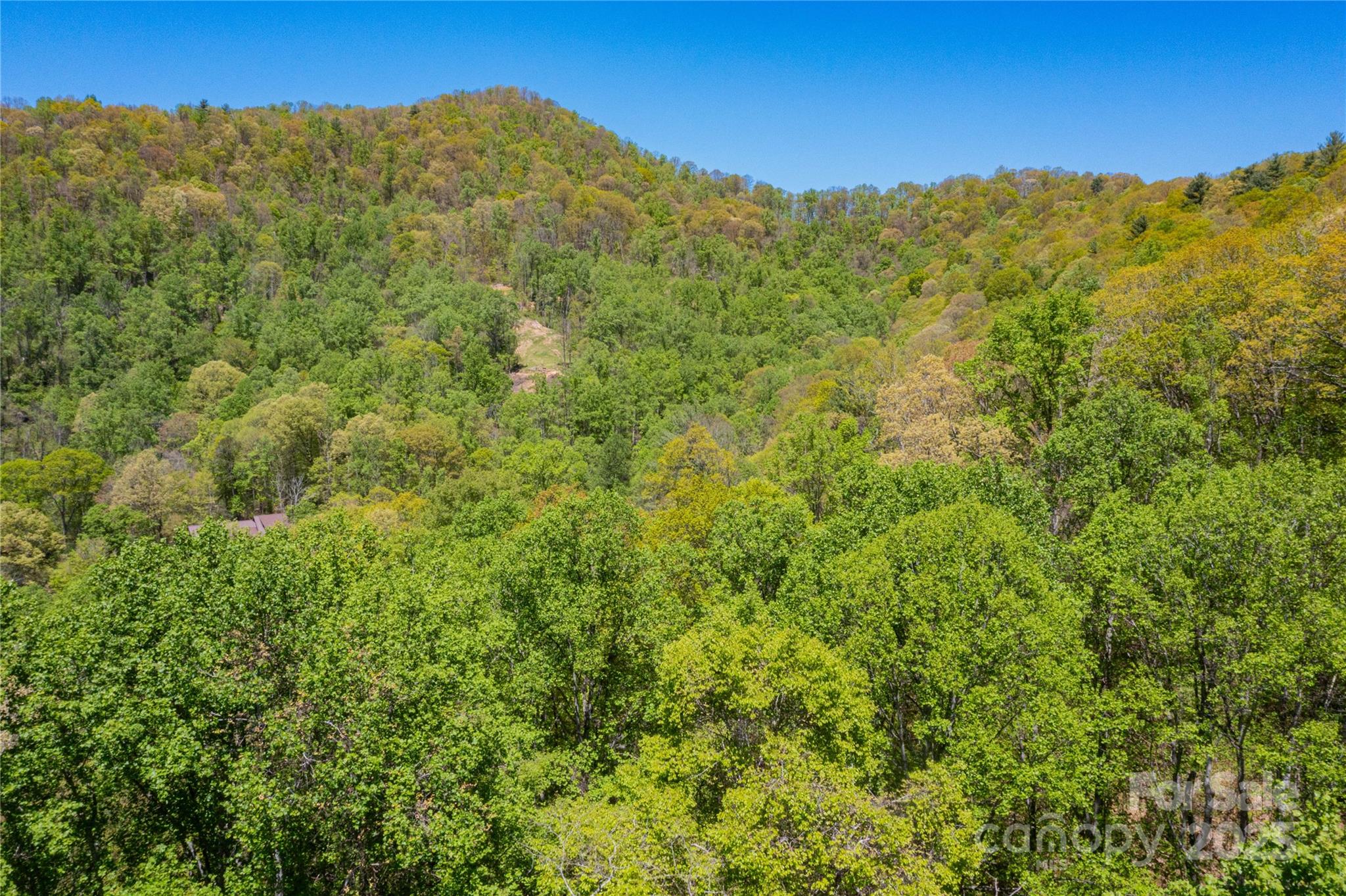 Tbd Whispering Woods Path Property Photo 18