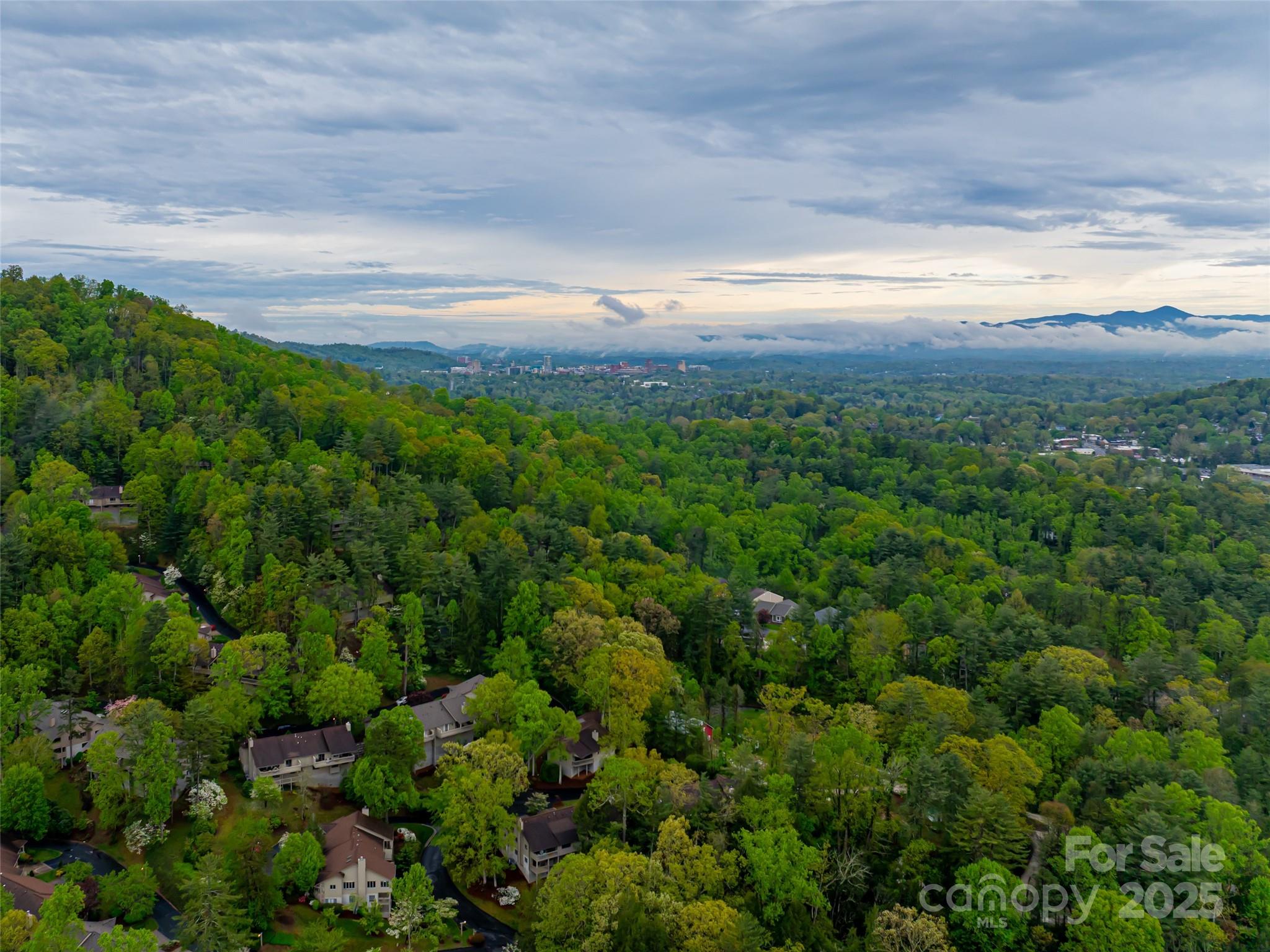 1901 Timber Trail Property Photo 31