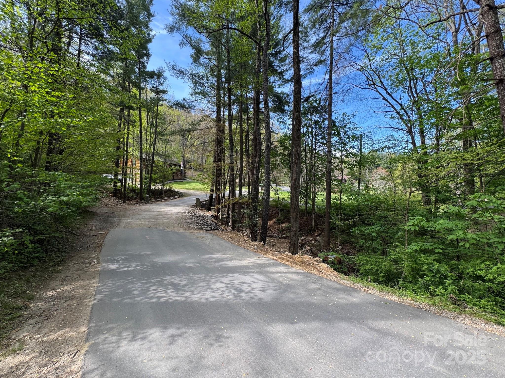 Tbd (a) Chestnut Walk Drive Property Photo 8