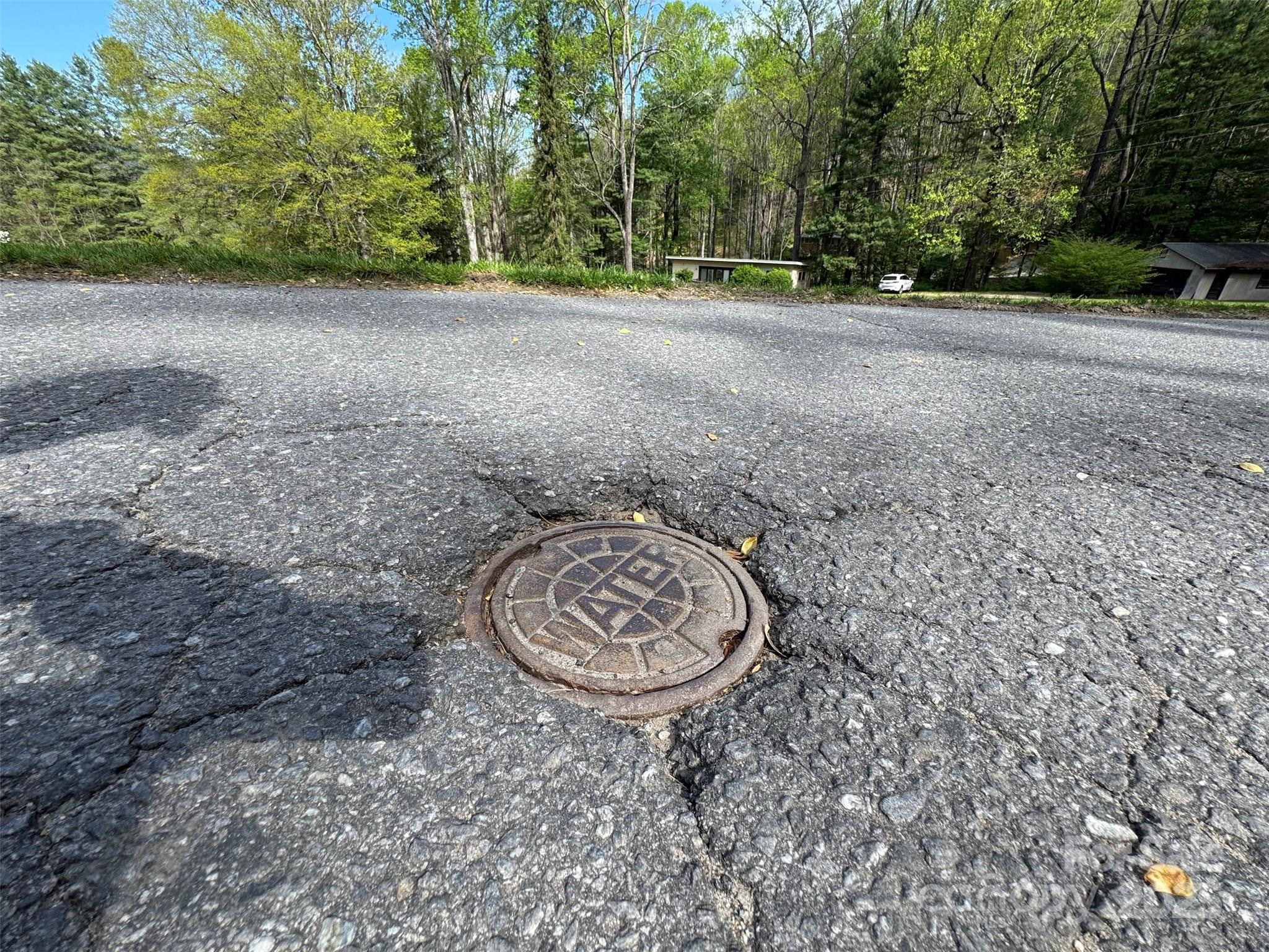 Tbd (a) Chestnut Walk Drive Property Photo 9