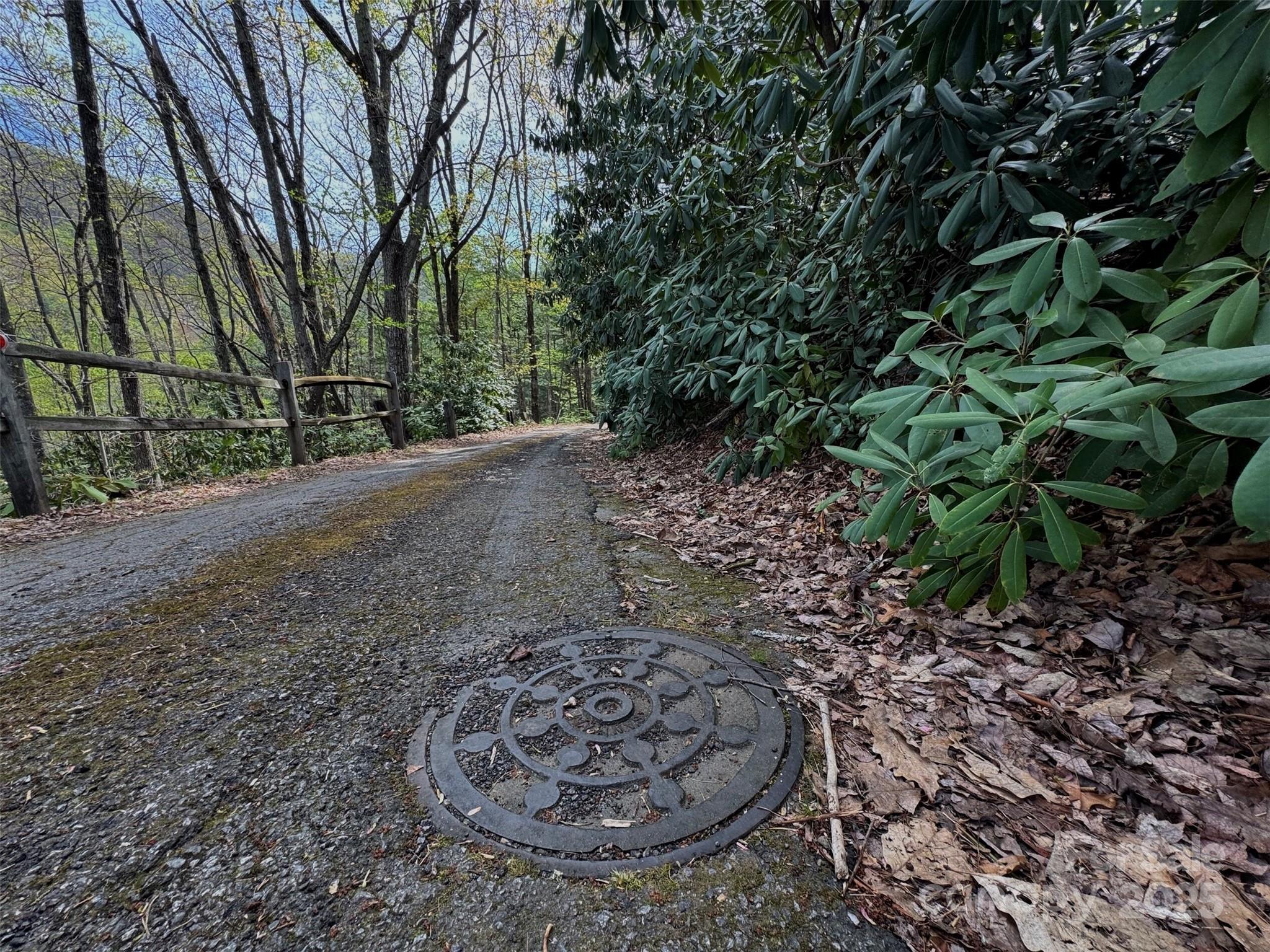 Tbd (a) Chestnut Walk Drive Property Photo 25