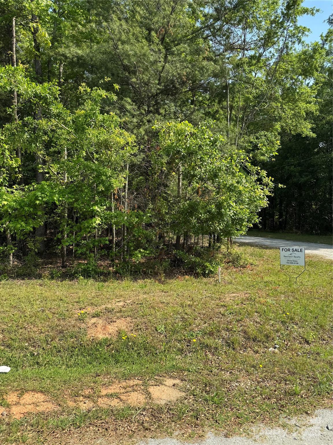 0 Mulberry Street Property Photo 3