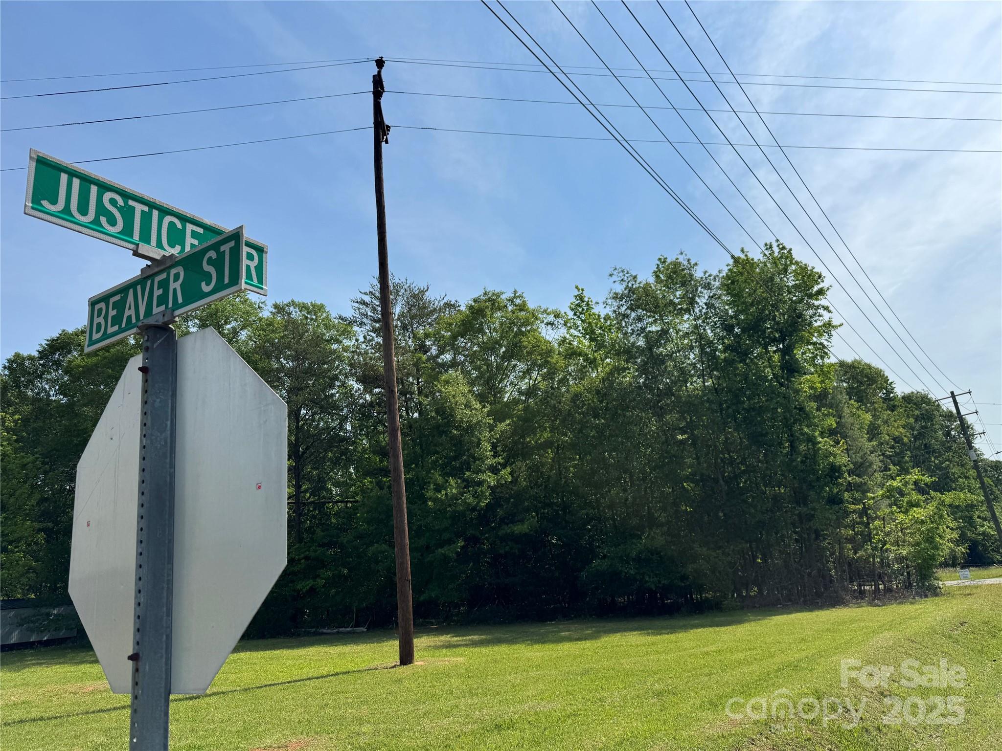 0 Mulberry Street Property Photo 5