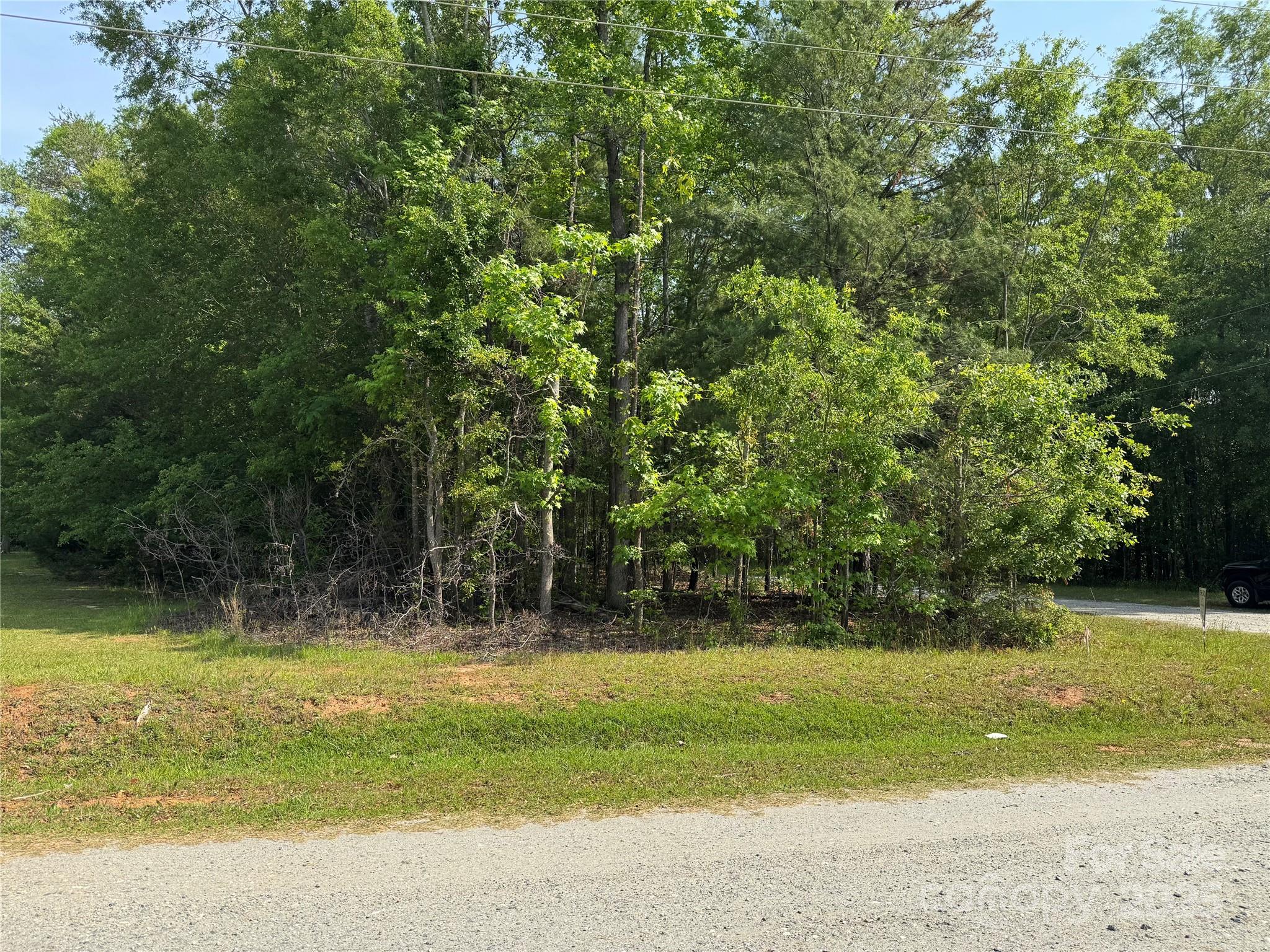 0 Mulberry Street Property Photo 9