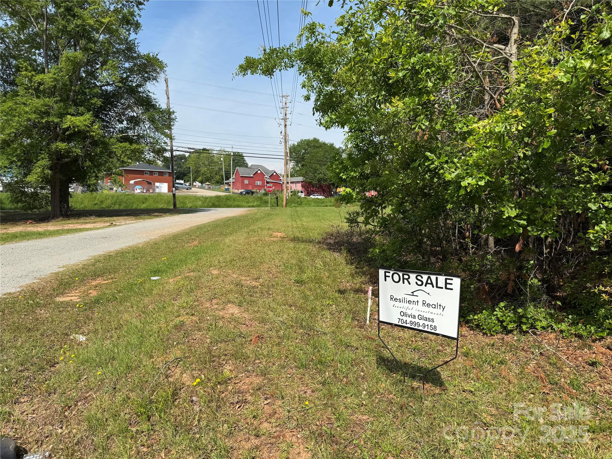0 Mulberry Street Property Photo 10