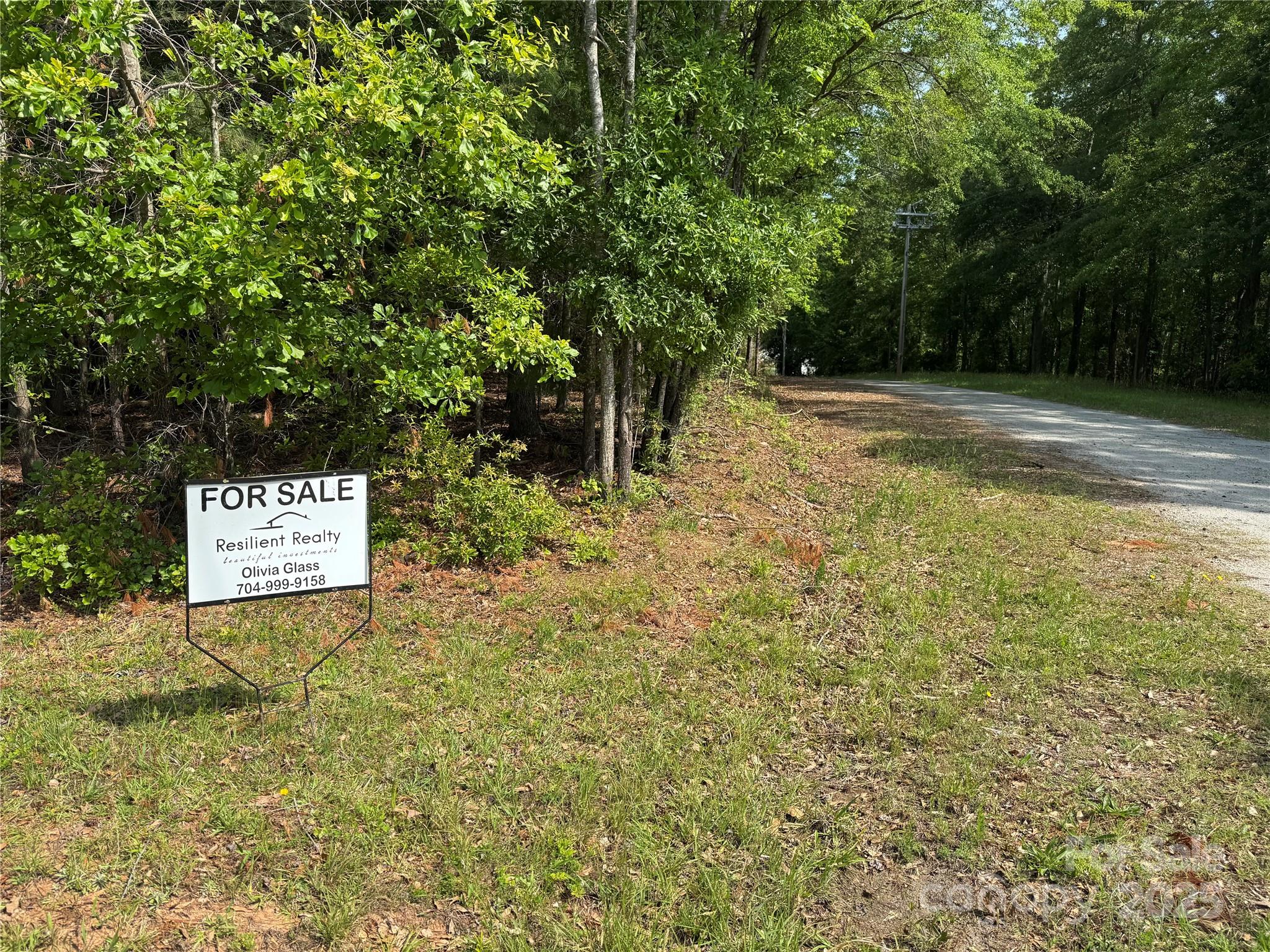 0 Mulberry Street Property Photo 11