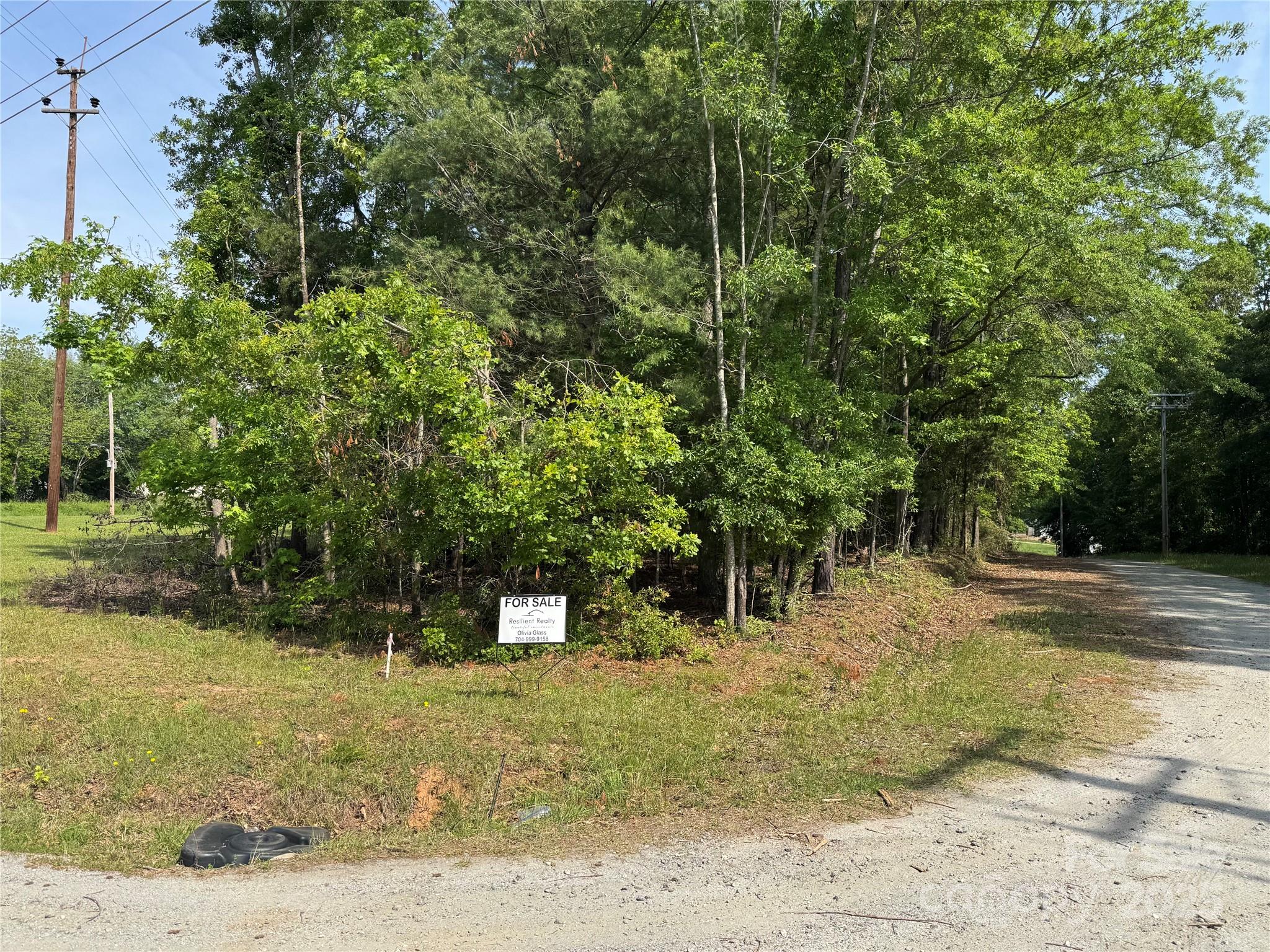 0 Mulberry Street Property Photo 12