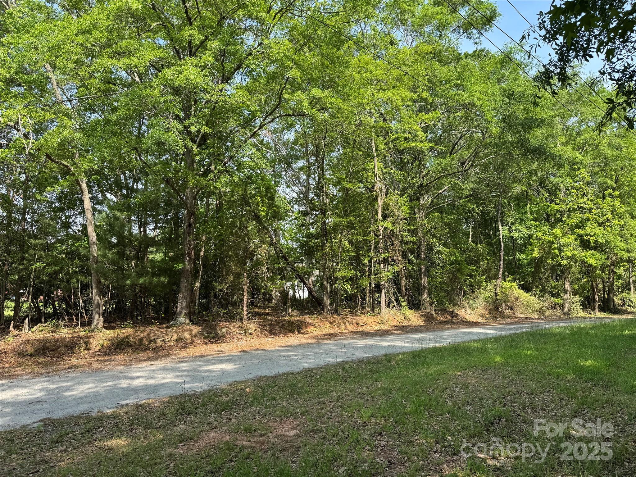 0 Mulberry Street Property Photo 7