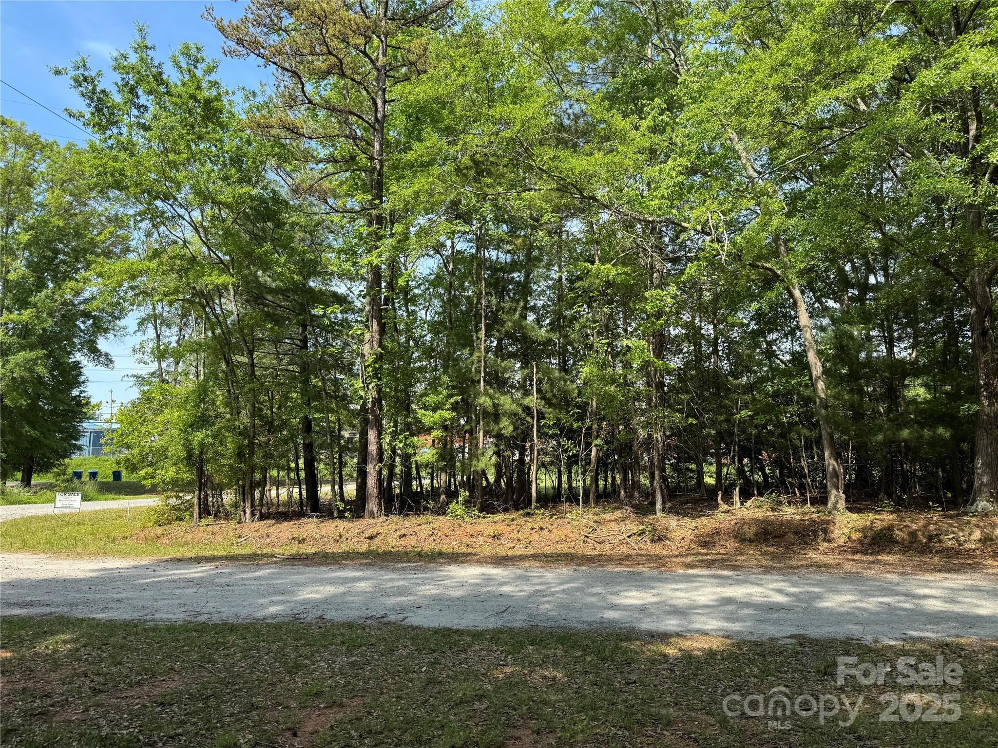 0 Mulberry Street Property Photo 8
