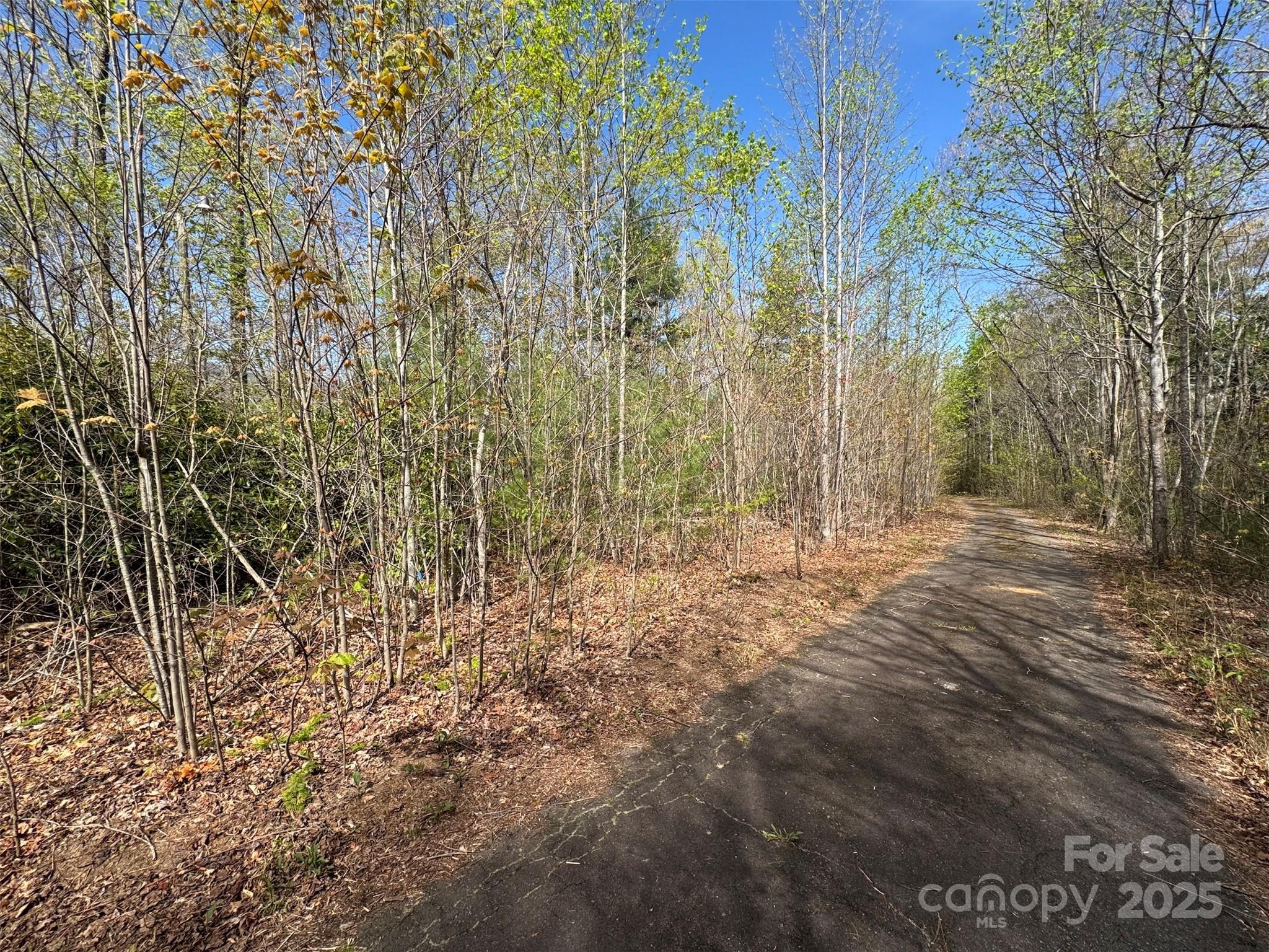 Tbd (d) Chestnut Walk Drive Property Photo 3