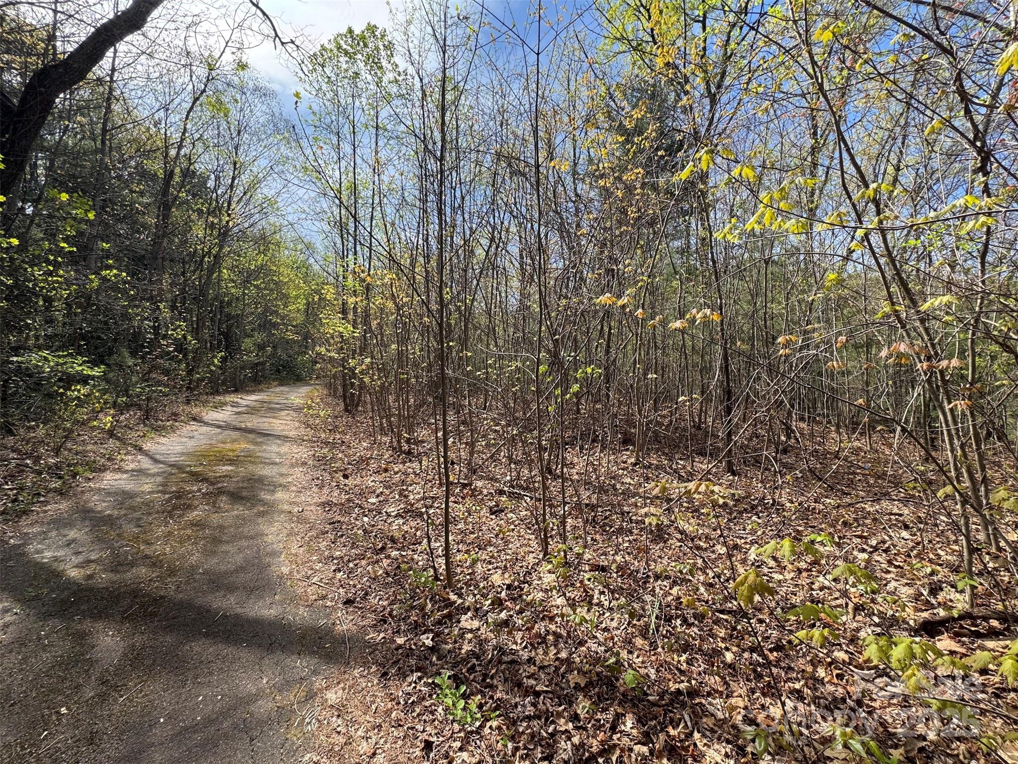 Tbd (d) Chestnut Walk Drive Property Photo 4