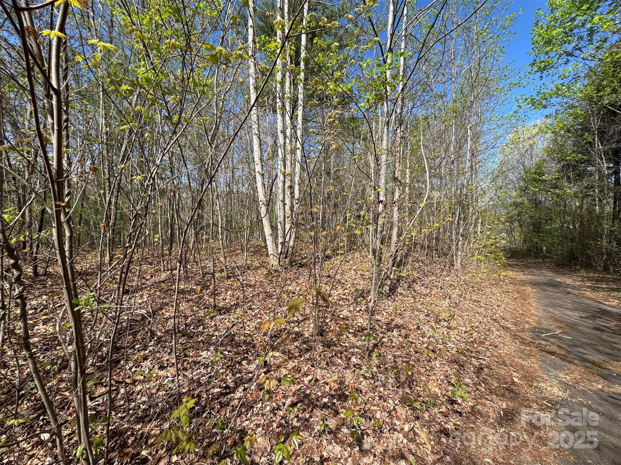 Tbd (d) Chestnut Walk Drive Property Photo 5