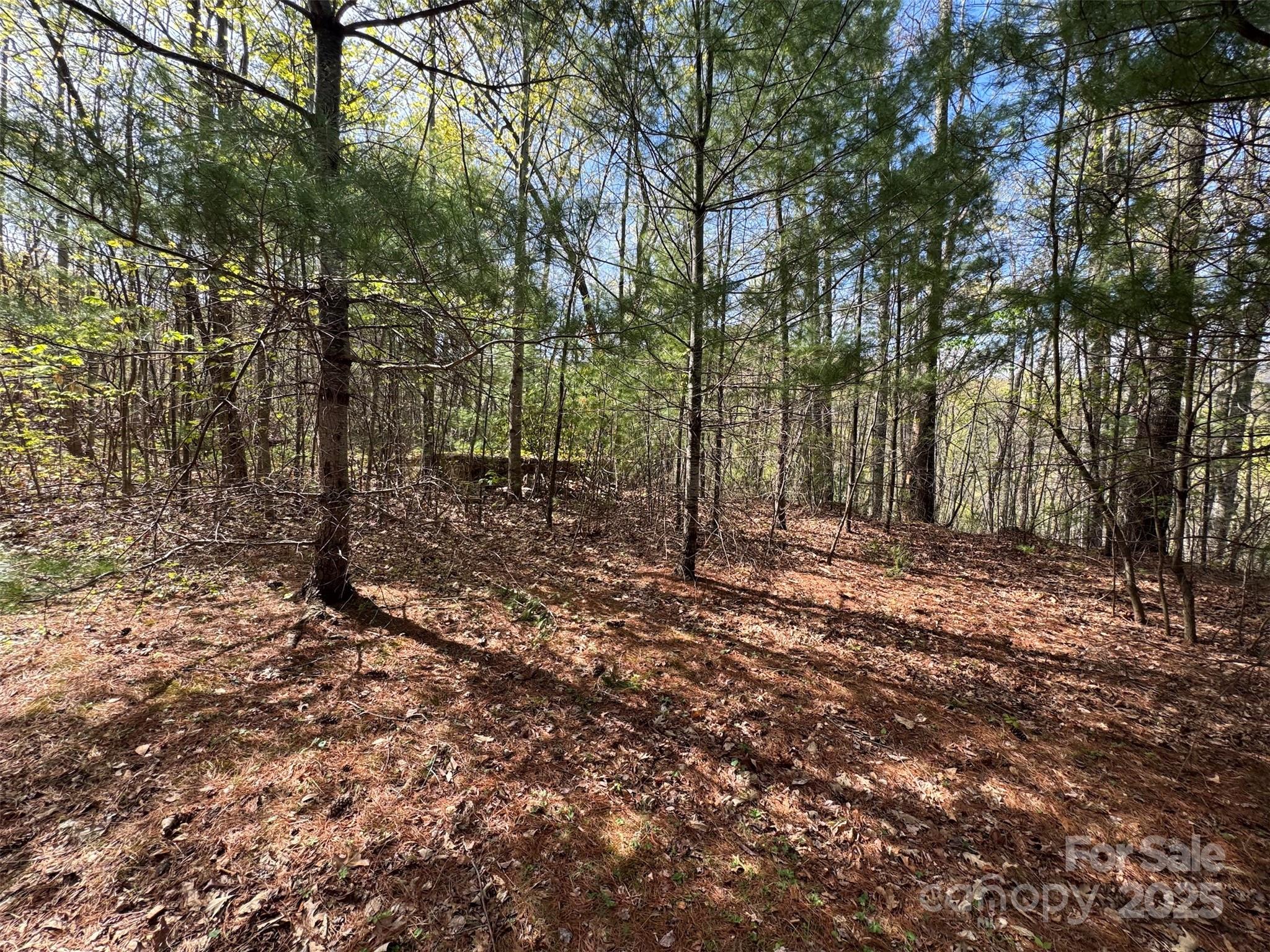 Tbd (d) Chestnut Walk Drive Property Photo 6