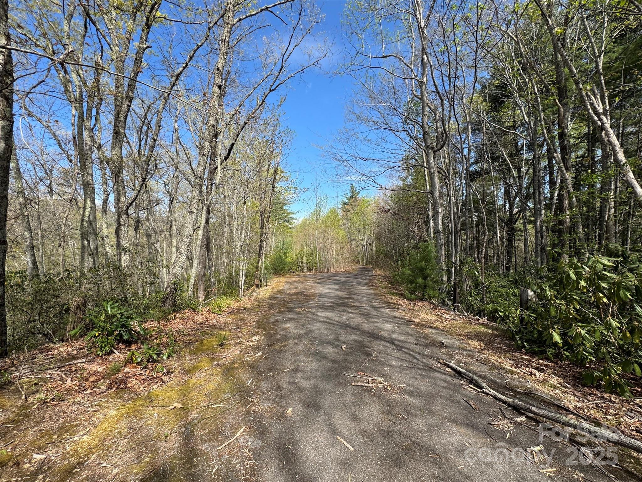 Tbd (d) Chestnut Walk Drive Property Photo 7