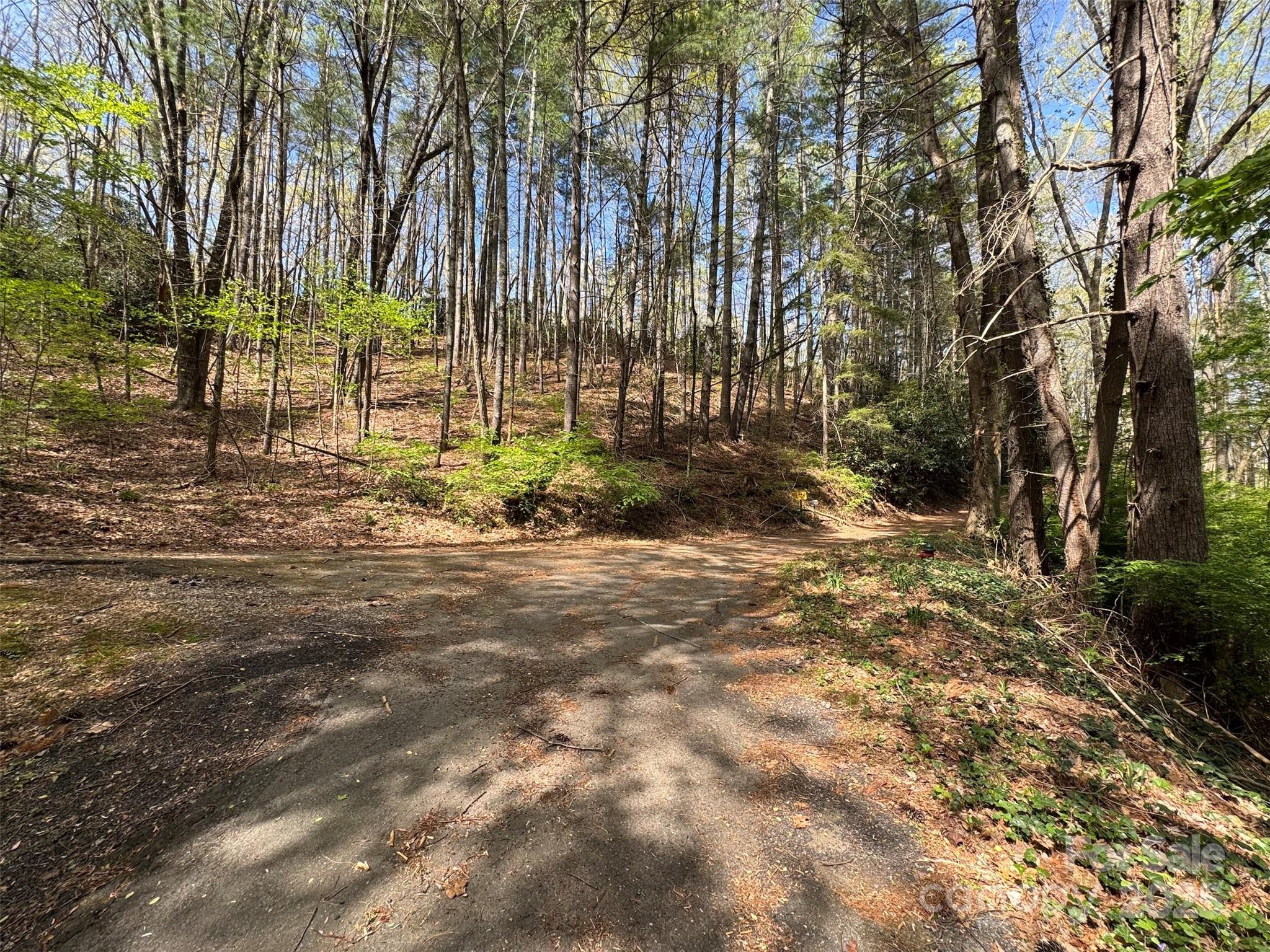 Tbd (d) Chestnut Walk Drive Property Photo 8