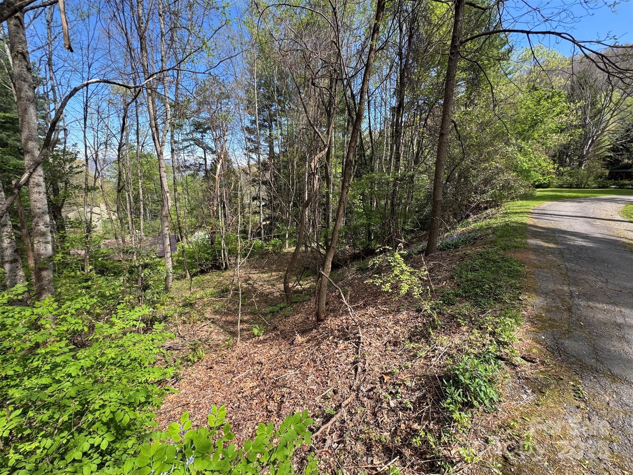 Tbd (d) Chestnut Walk Drive Property Photo 9