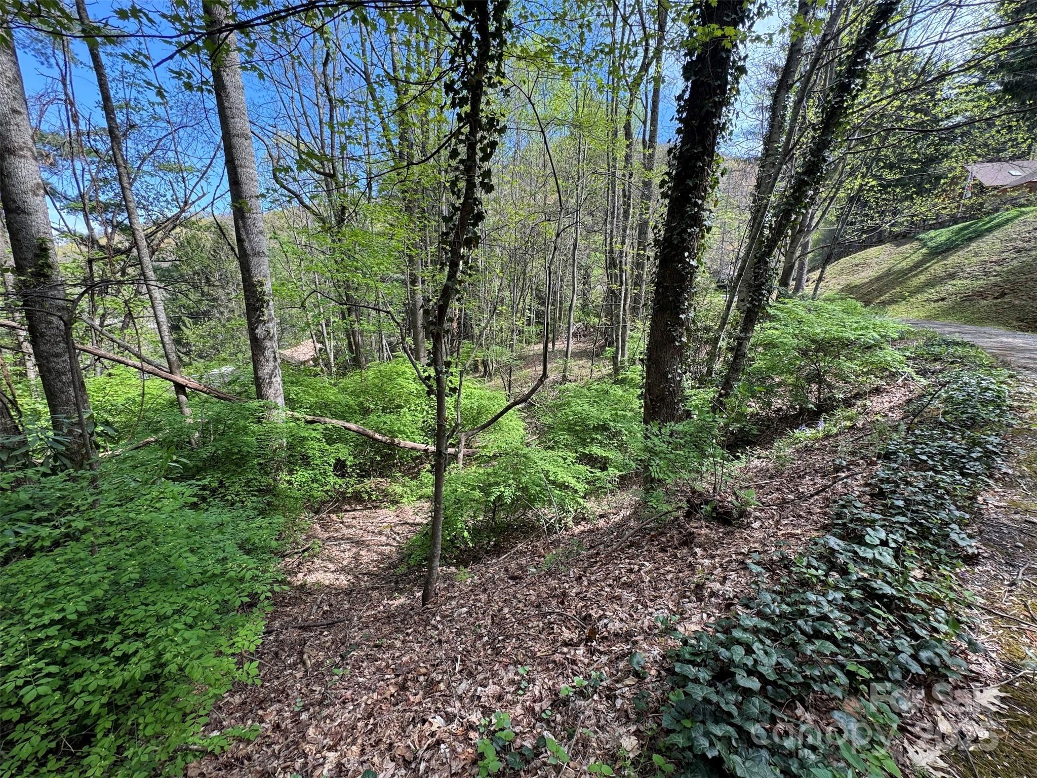 Tbd (d) Chestnut Walk Drive Property Photo 10