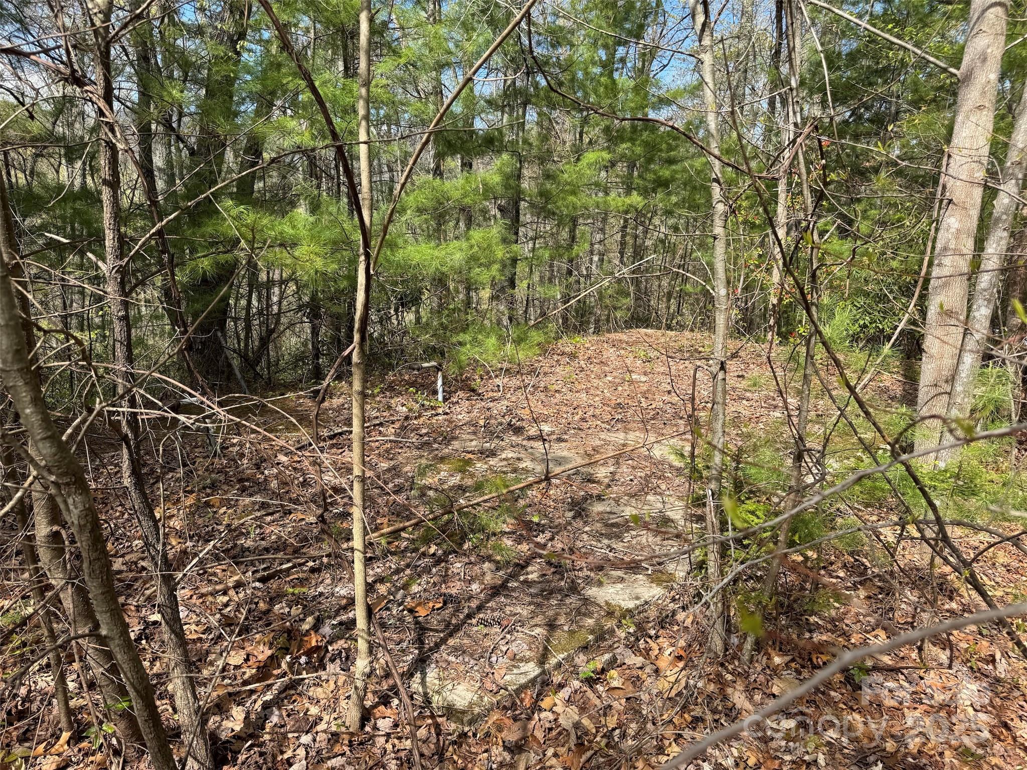 Tbd (d) Chestnut Walk Drive Property Photo 11