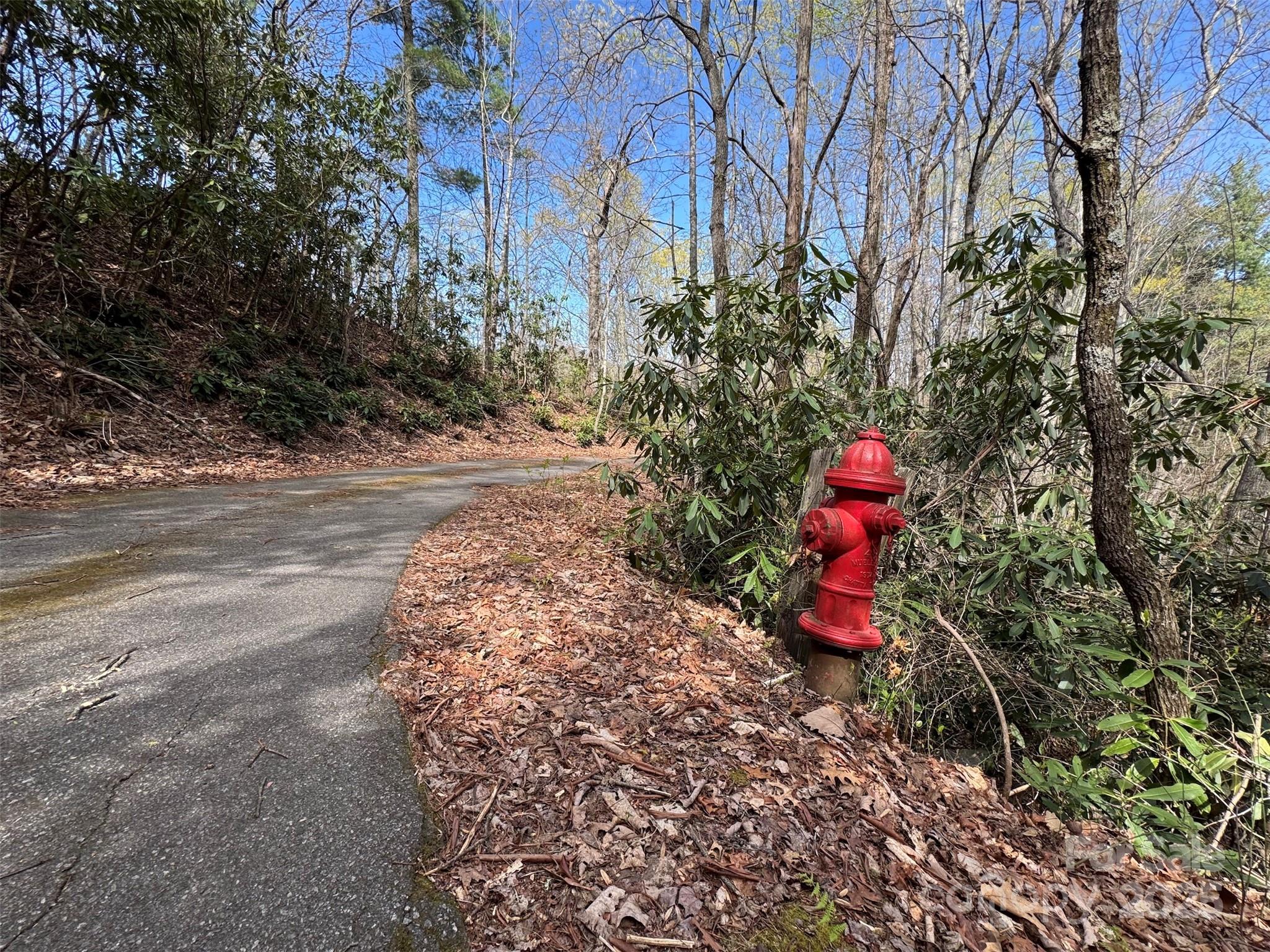 Tbd (d) Chestnut Walk Drive Property Photo 14