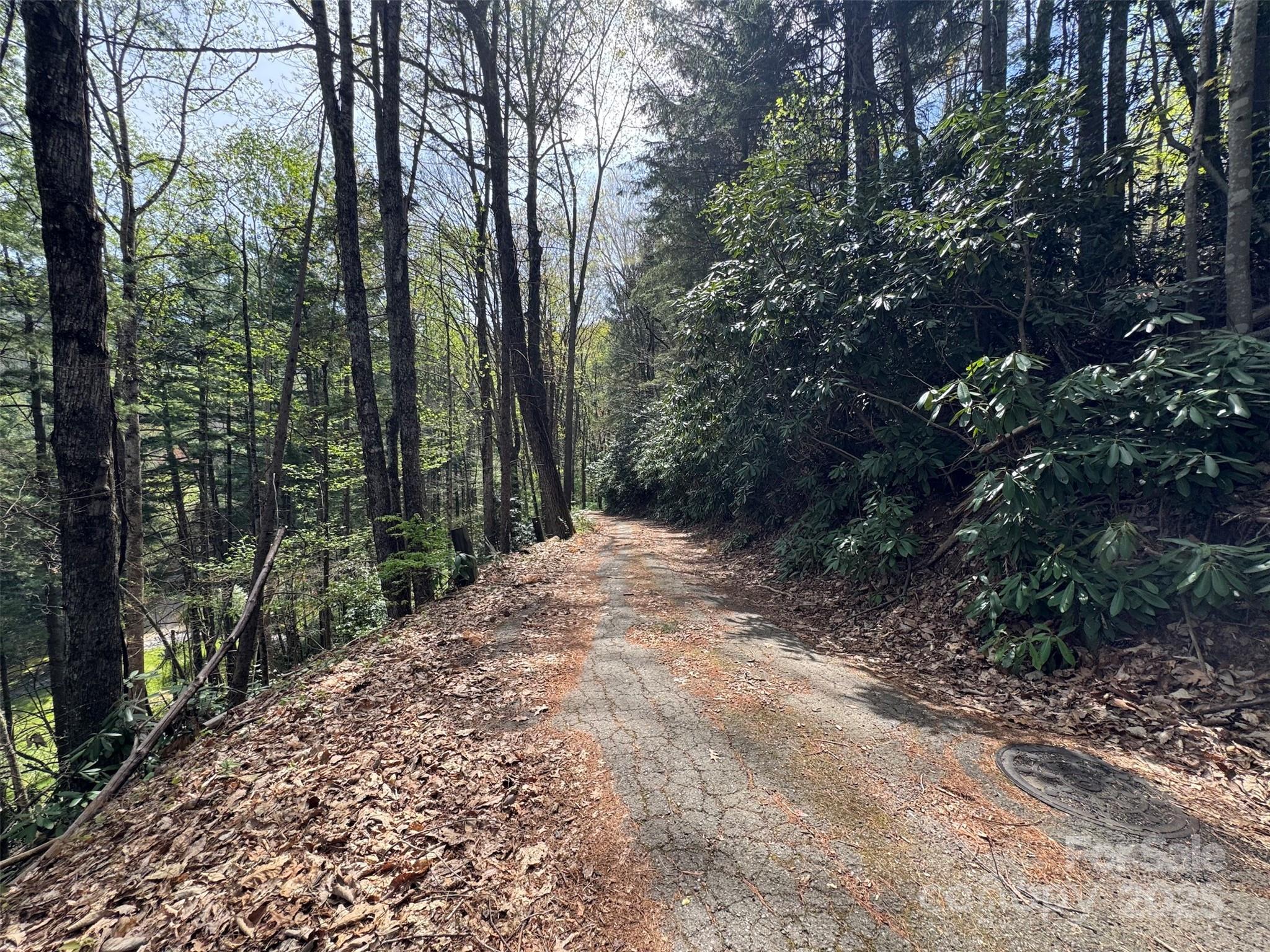 Tbd (d) Chestnut Walk Drive Property Photo 15