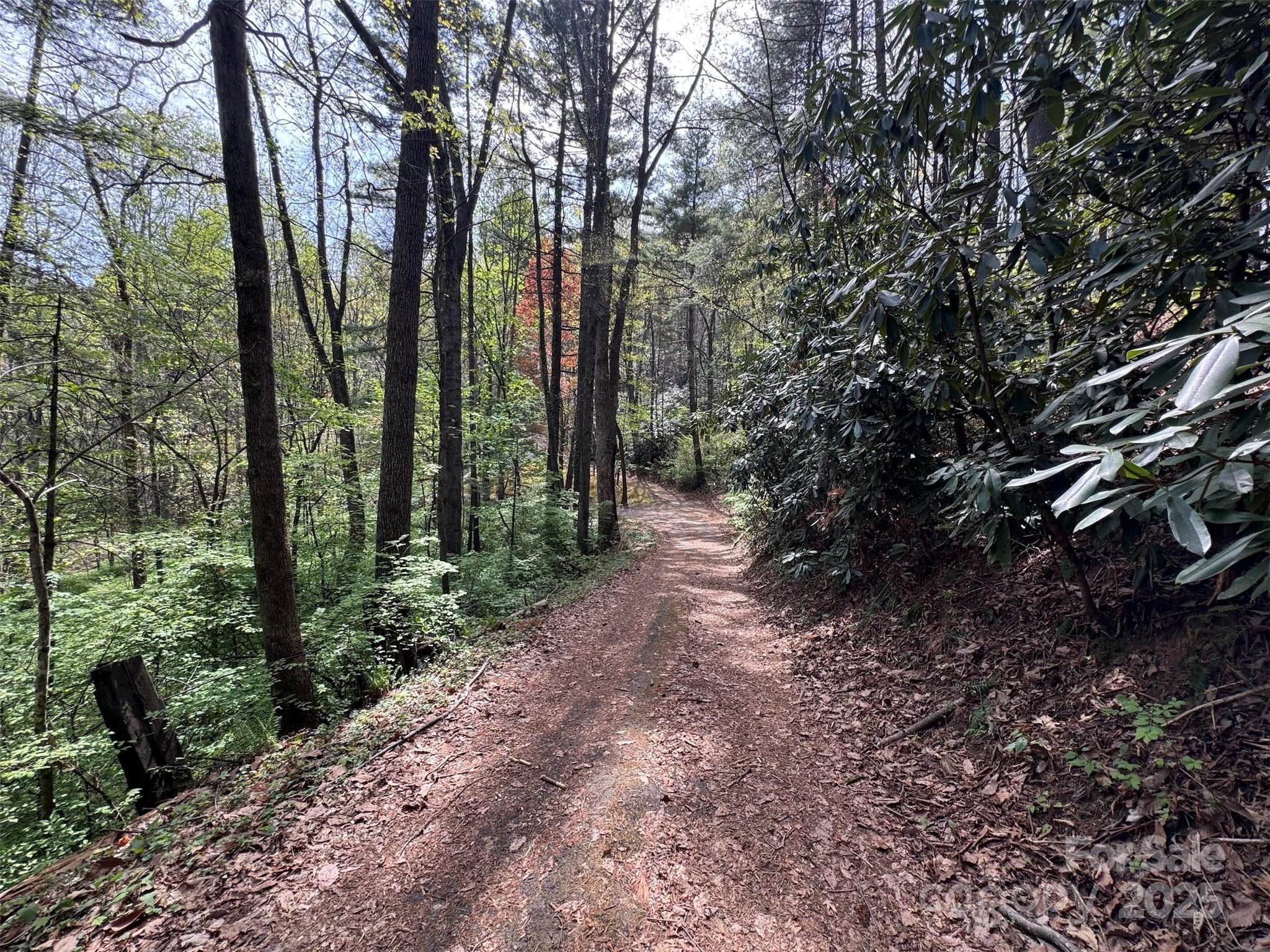 Tbd (d) Chestnut Walk Drive Property Photo 16