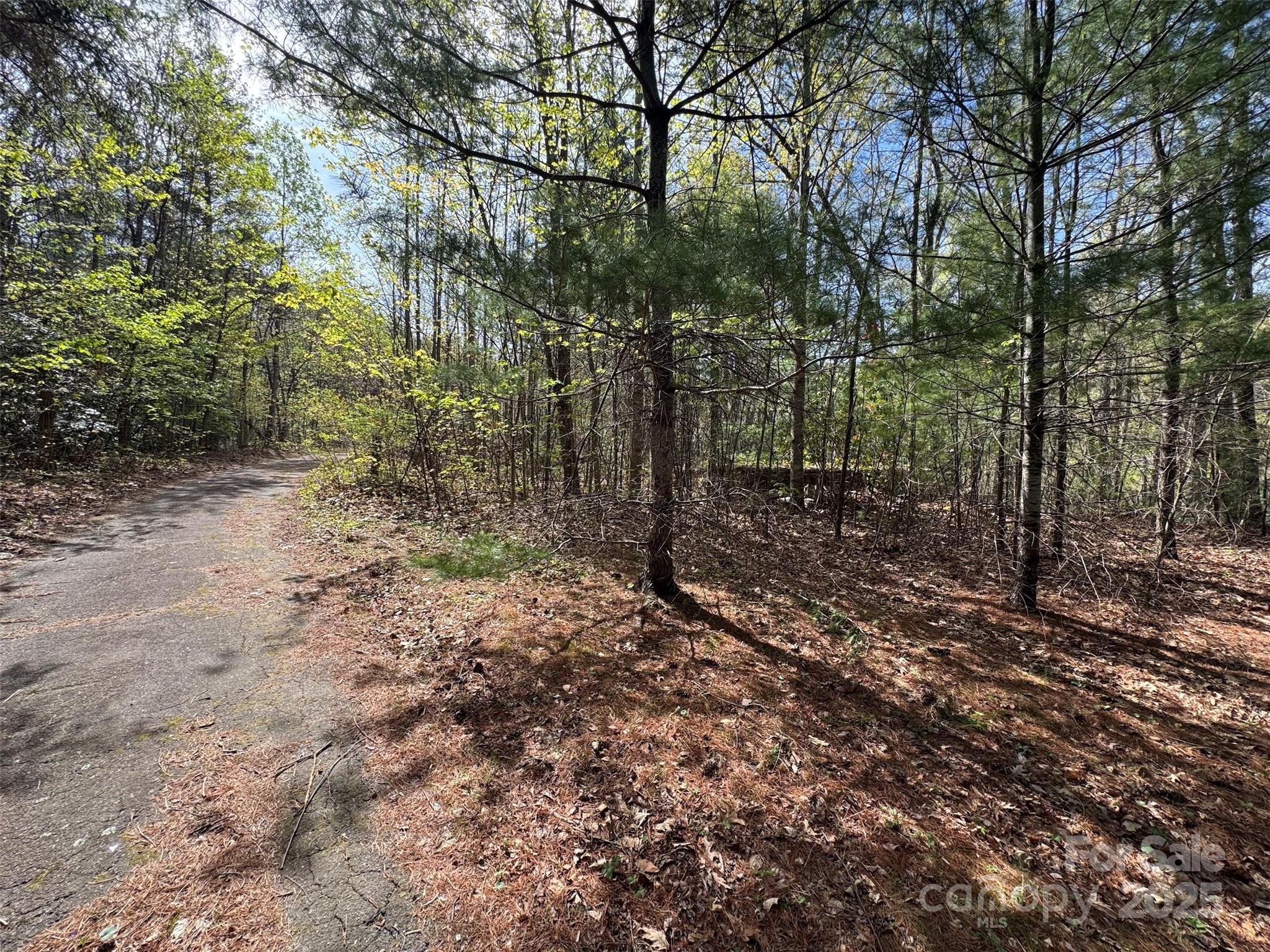 Tbd (d) Chestnut Walk Drive Property Photo 19