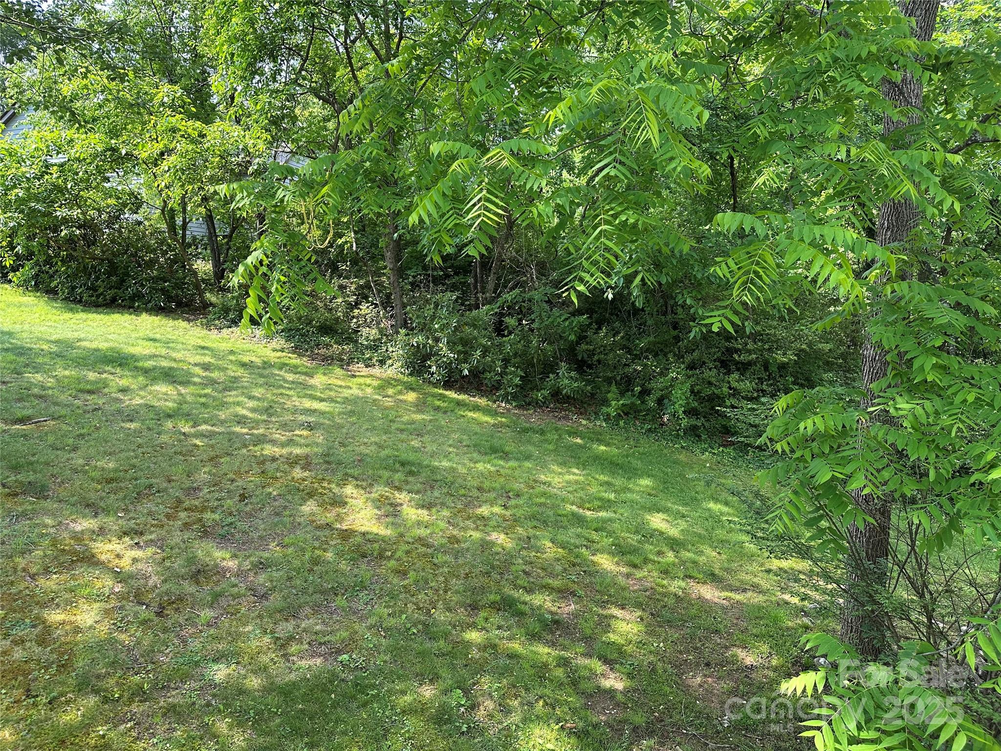 180 White Dogwood Lane Property Photo 4