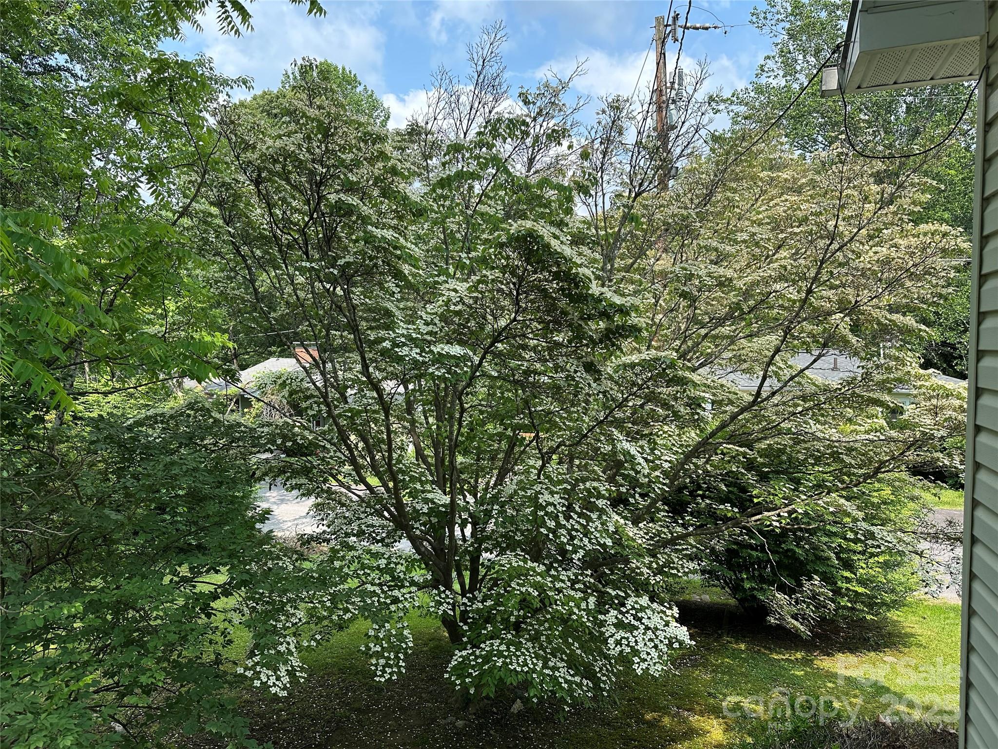 180 White Dogwood Lane Property Photo 23