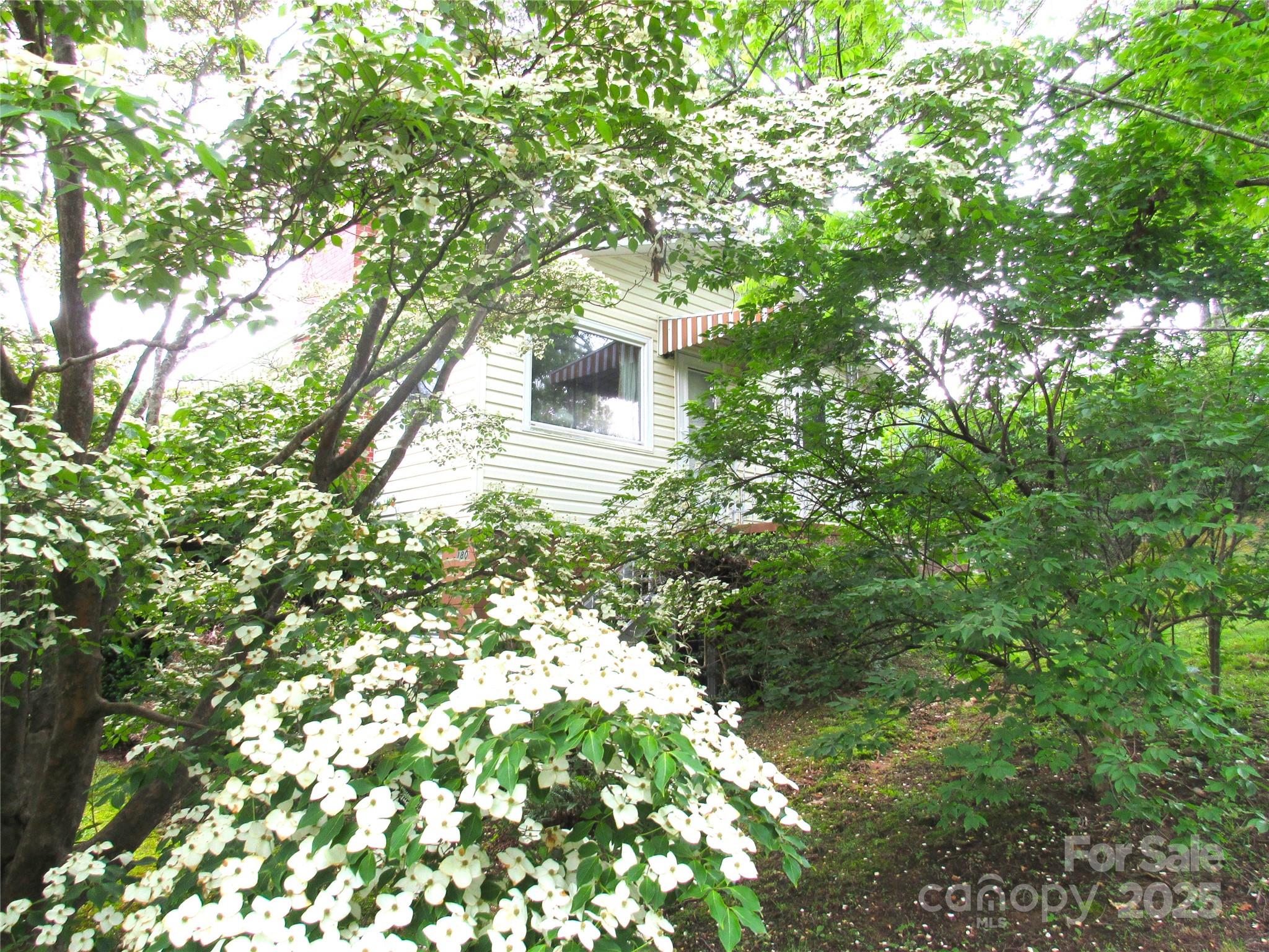 180 White Dogwood Lane Property Photo 24