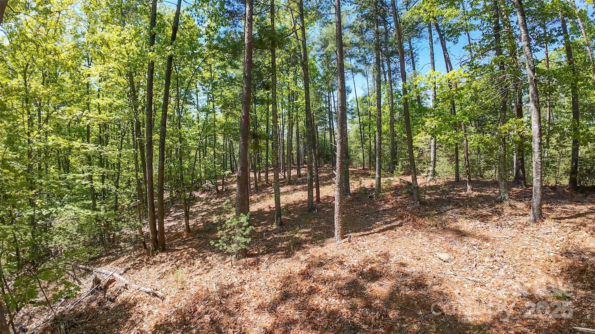 46 Osprey Roost Drive Property Photo 2