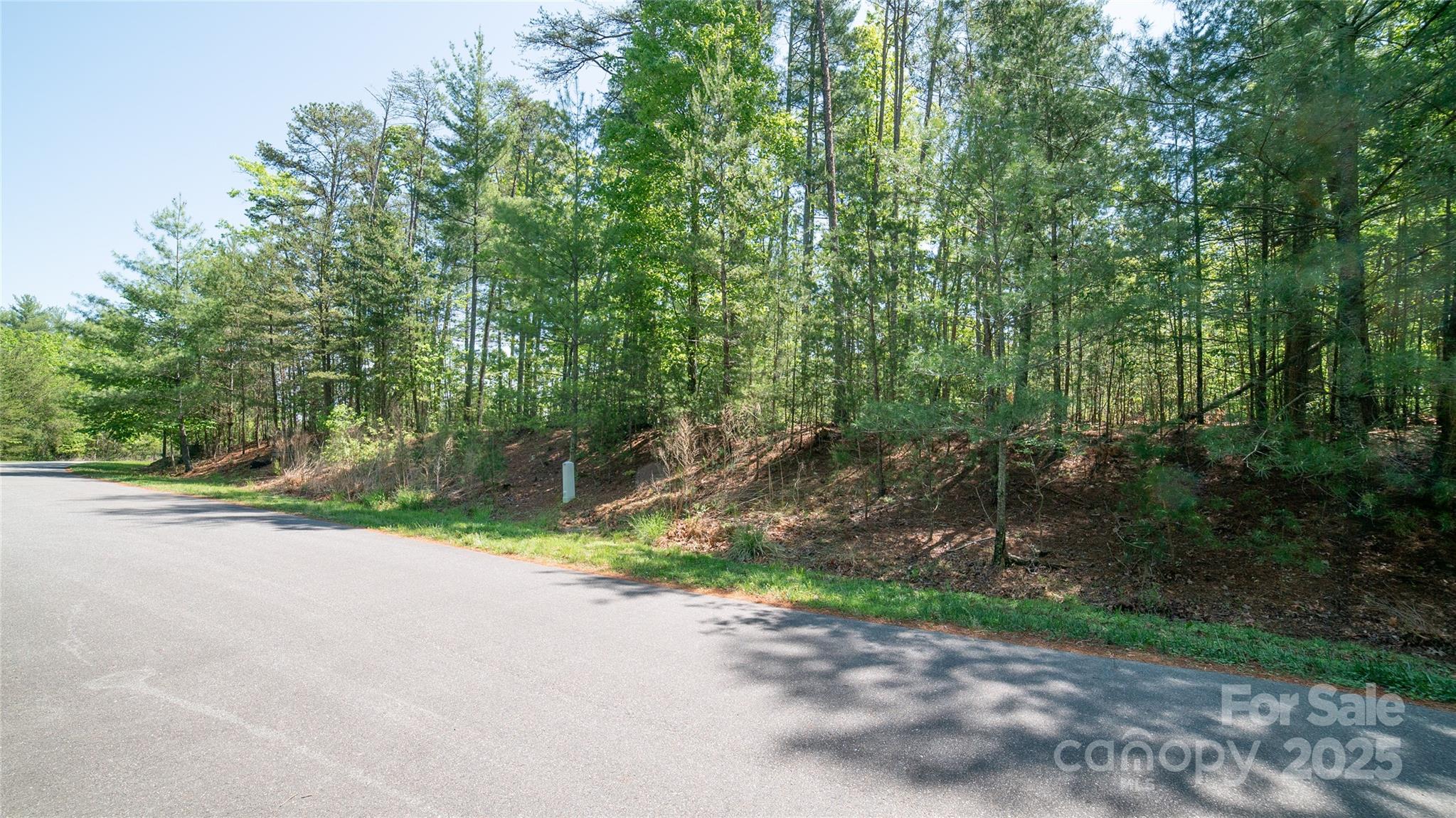 46 Osprey Roost Drive Property Photo 8