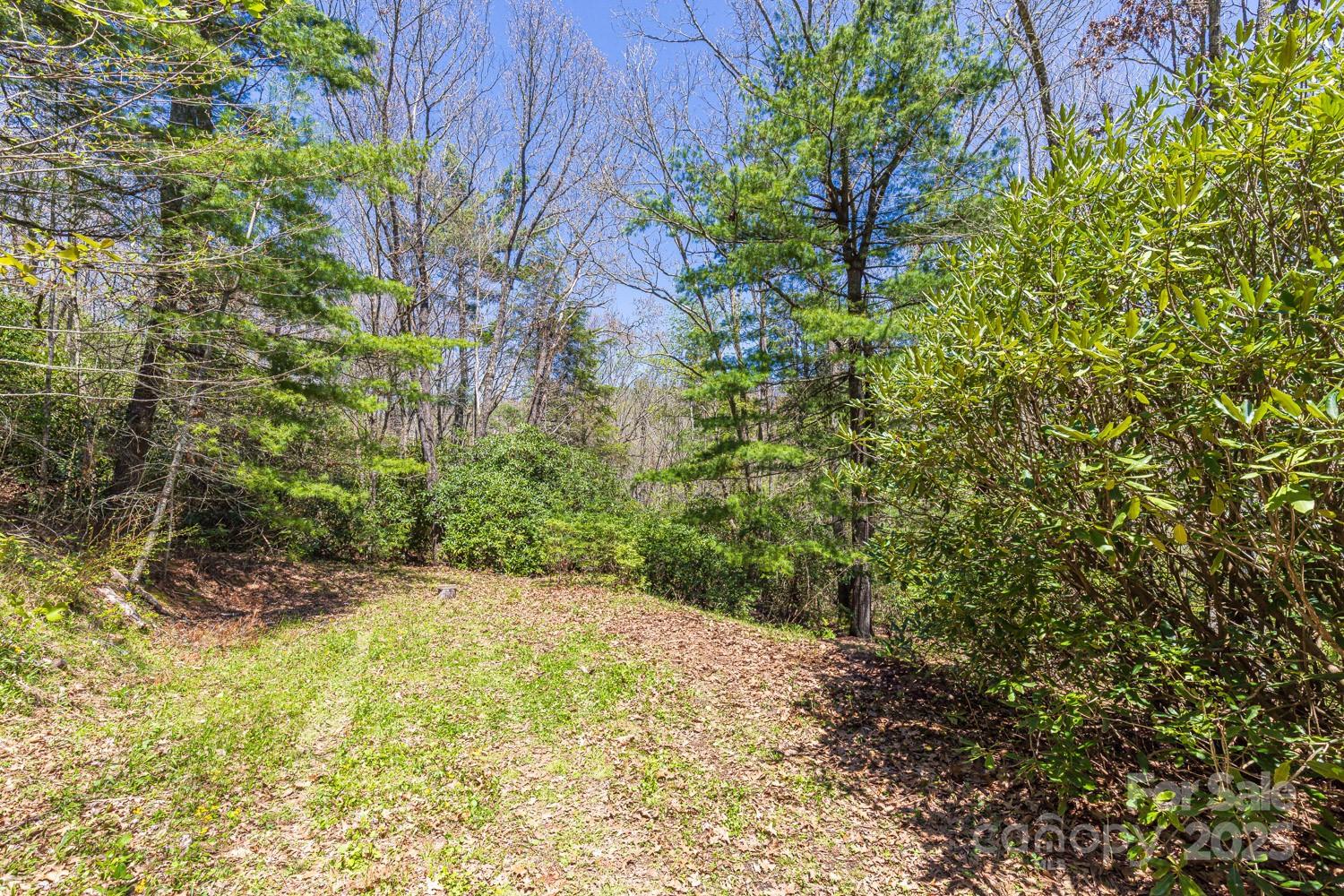 99999 Fairview Forest Drive Property Photo