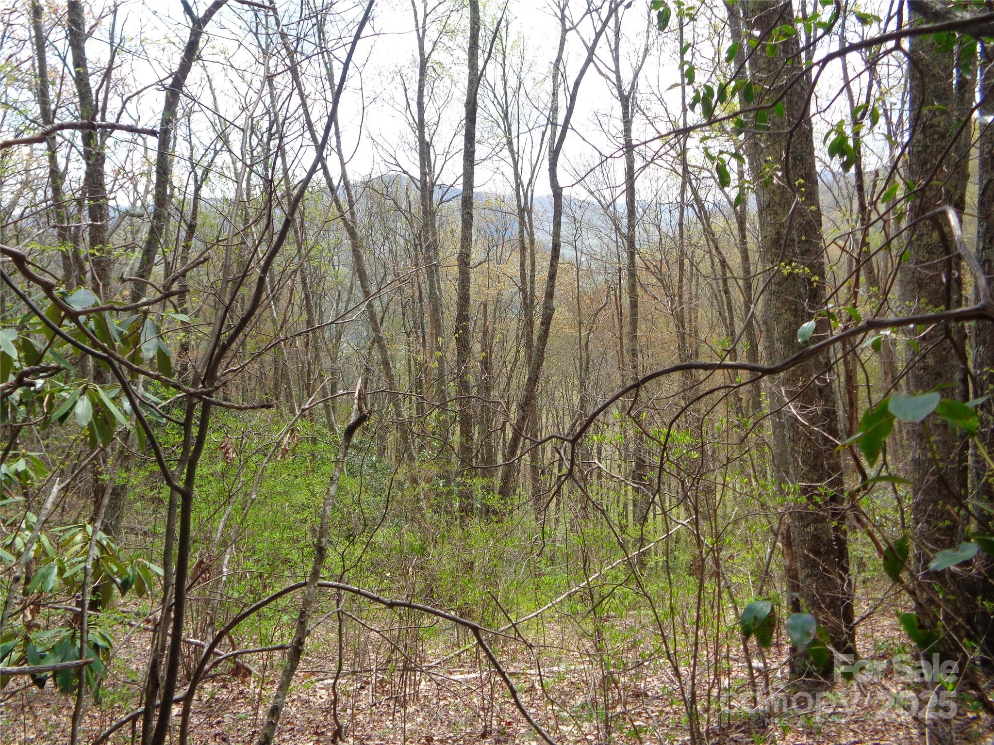 00 Bent Tree Road Property Photo