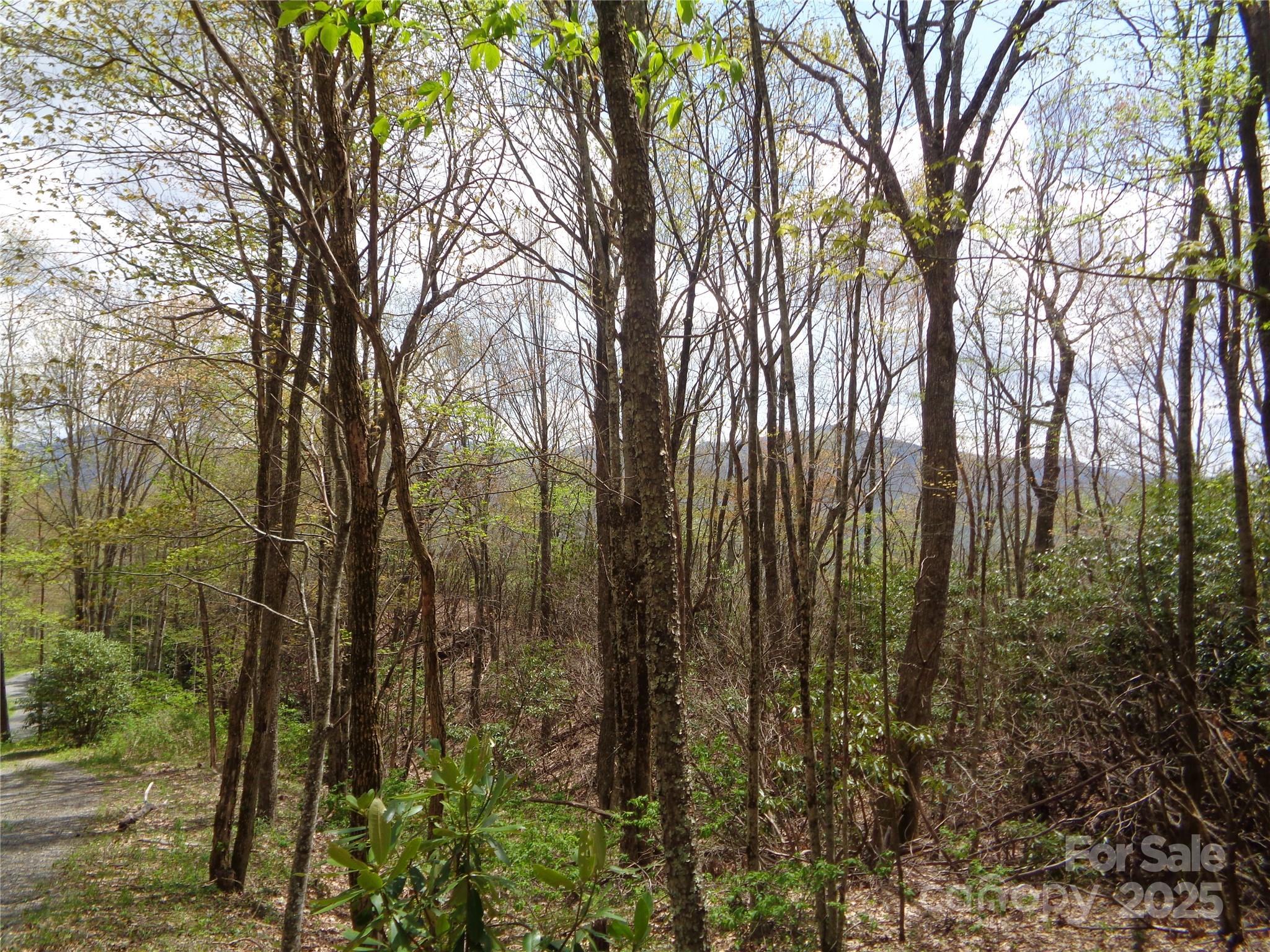 00 Bent Tree Road Property Photo 2