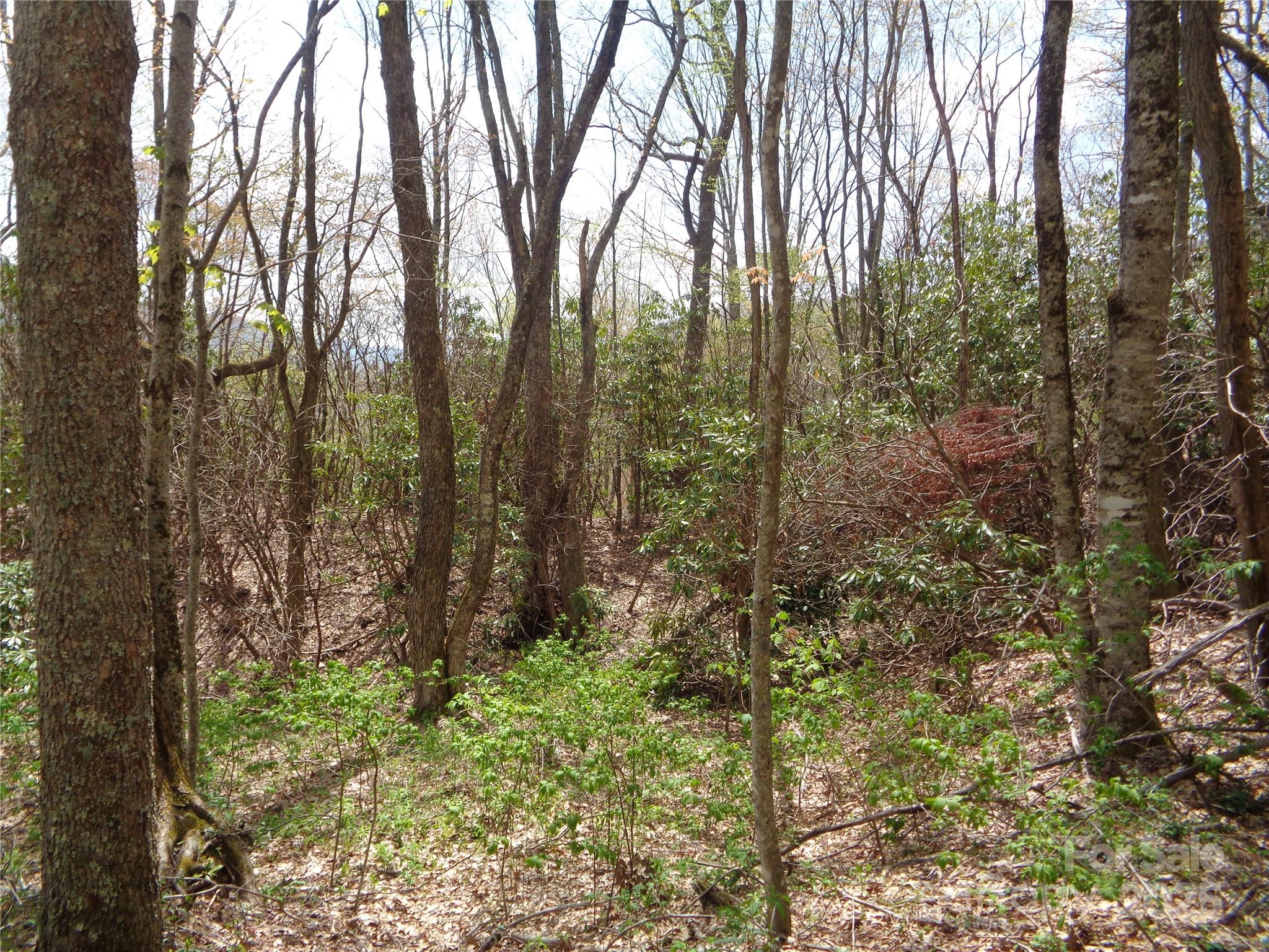 00 Bent Tree Road Property Photo 3