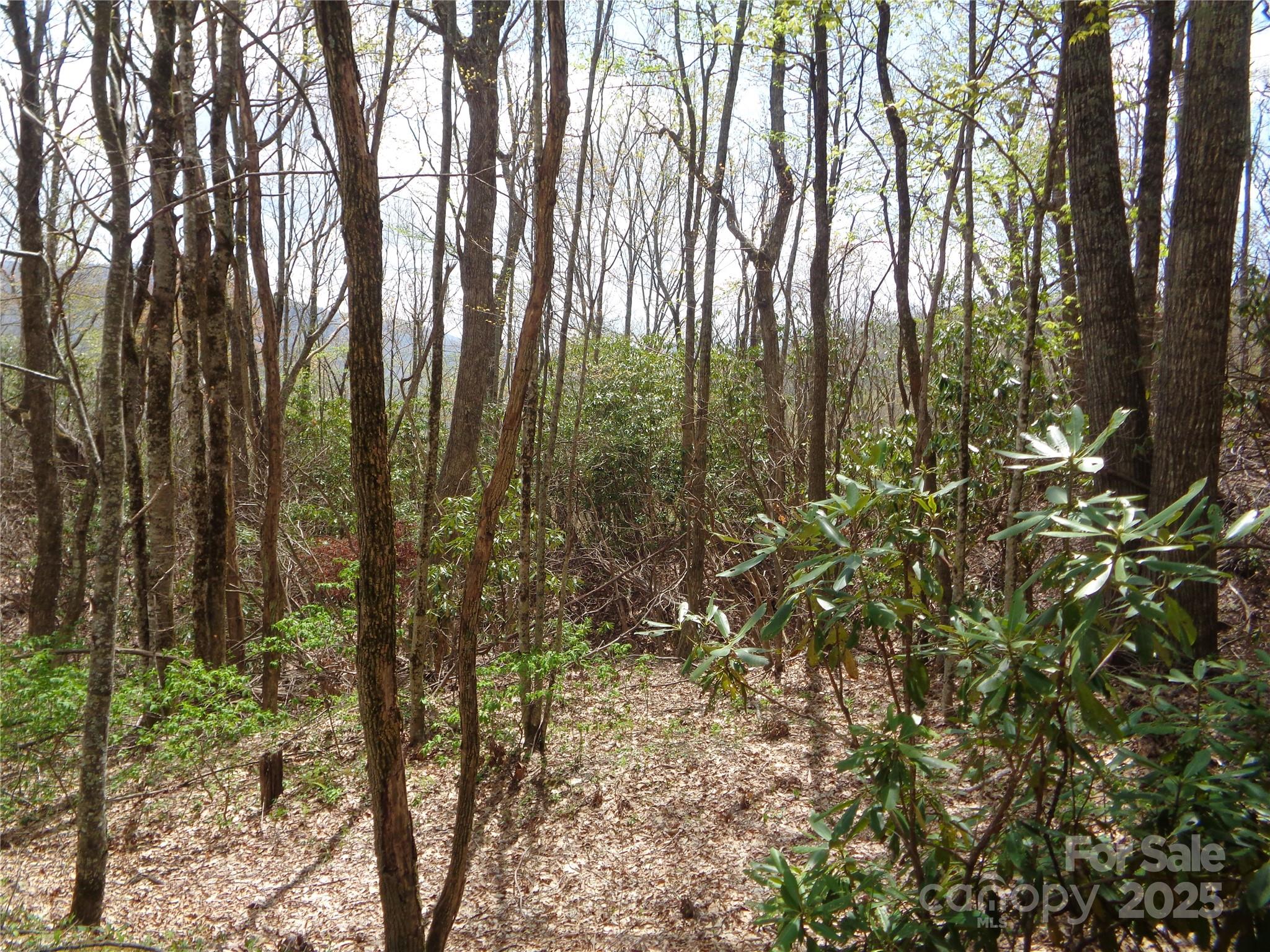 00 Bent Tree Road Property Photo 4