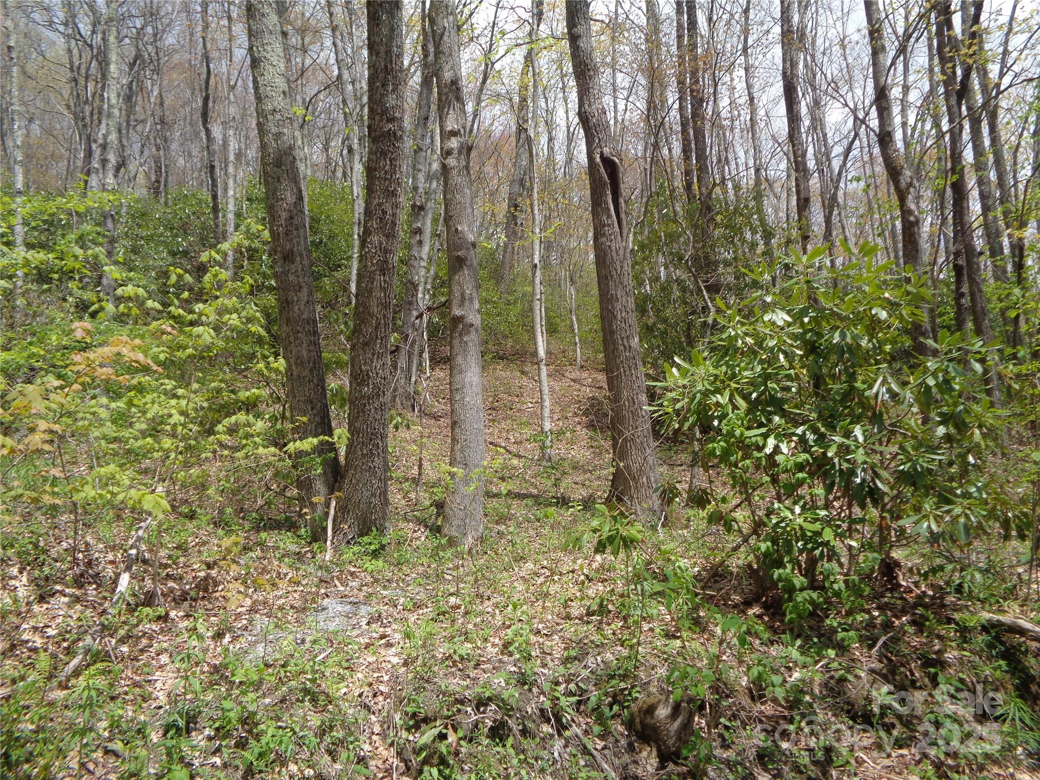00 Bent Tree Road Property Photo 5