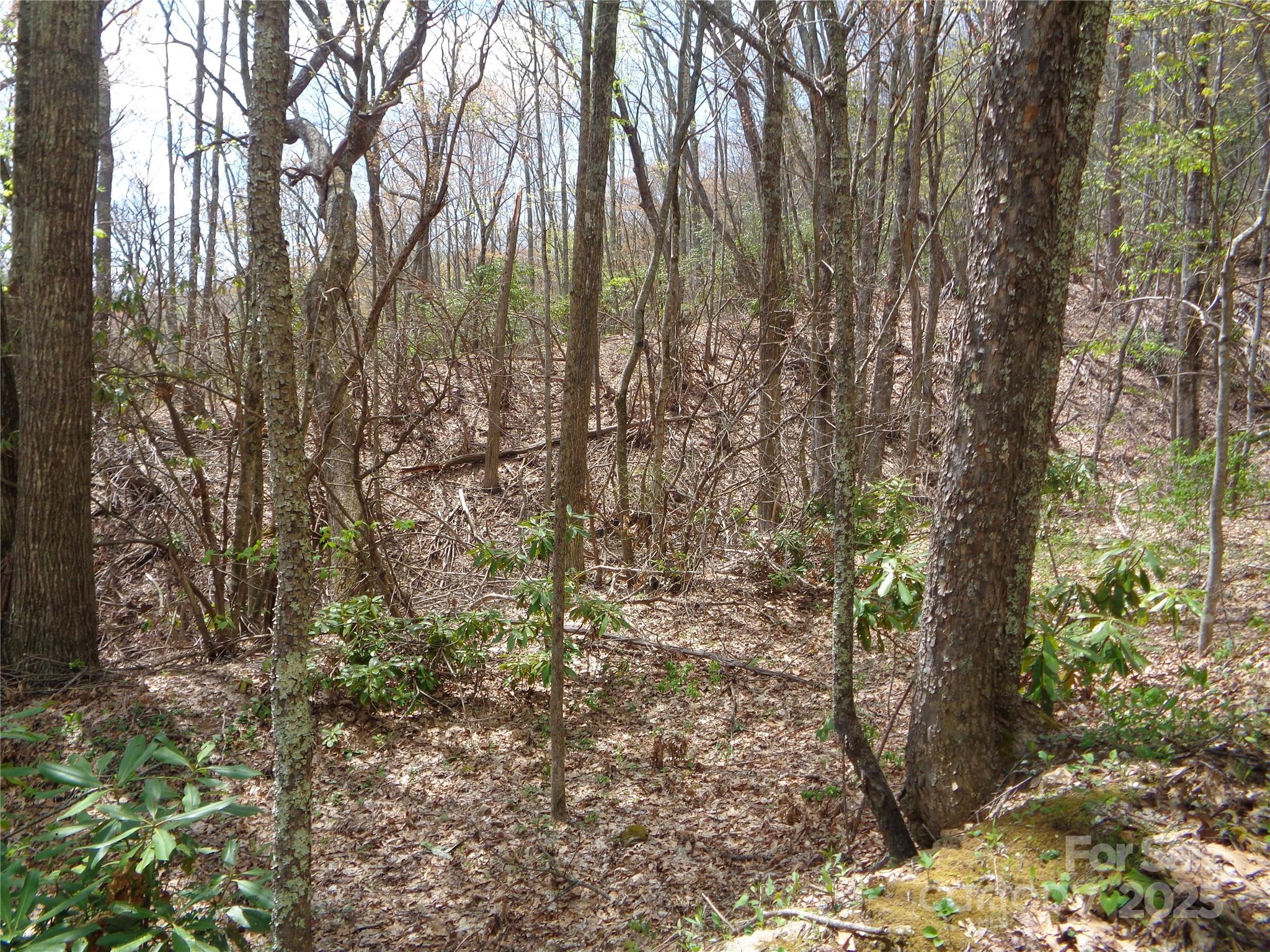 00 Bent Tree Road Property Photo 6