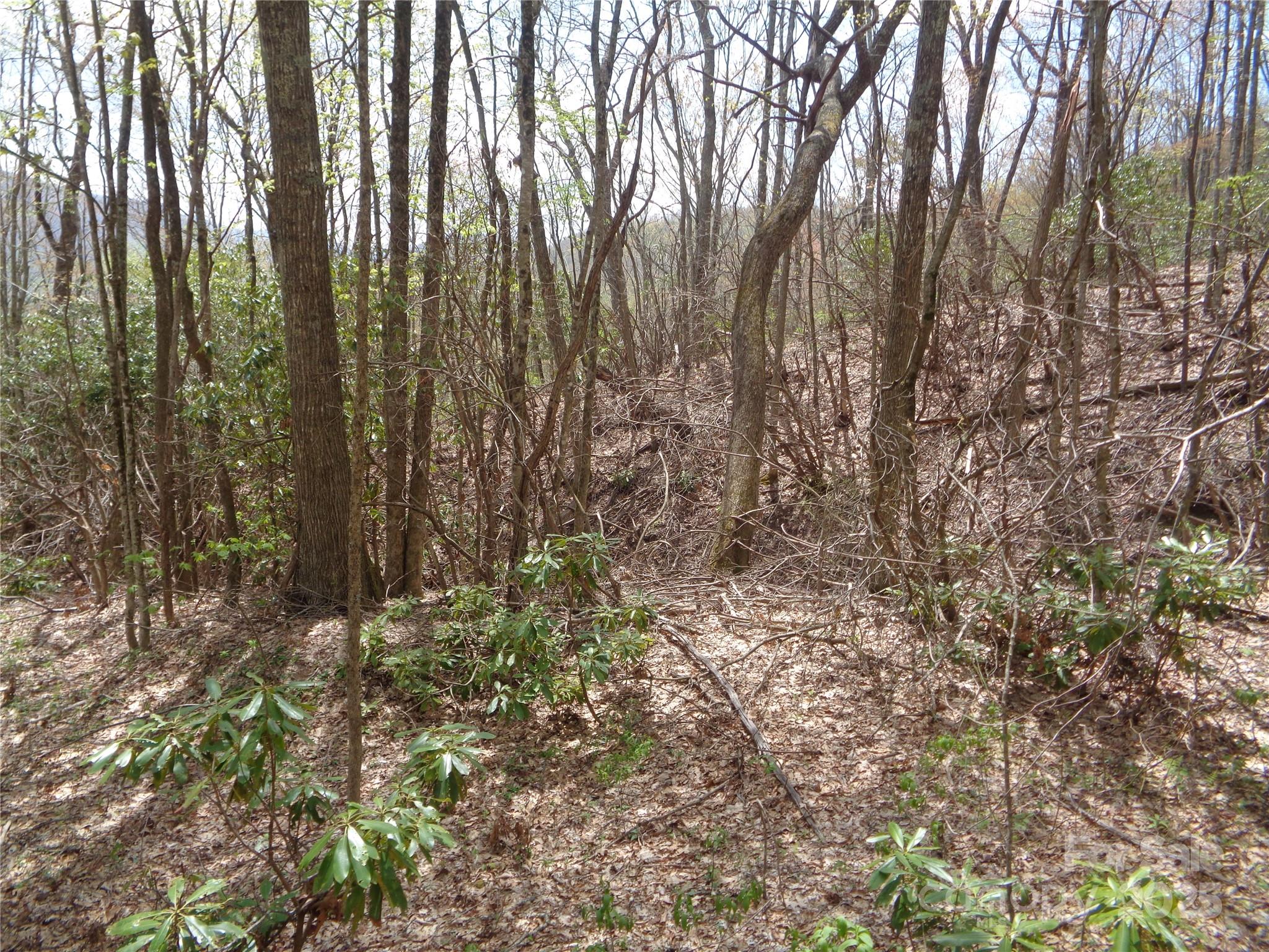 00 Bent Tree Road Property Photo 7