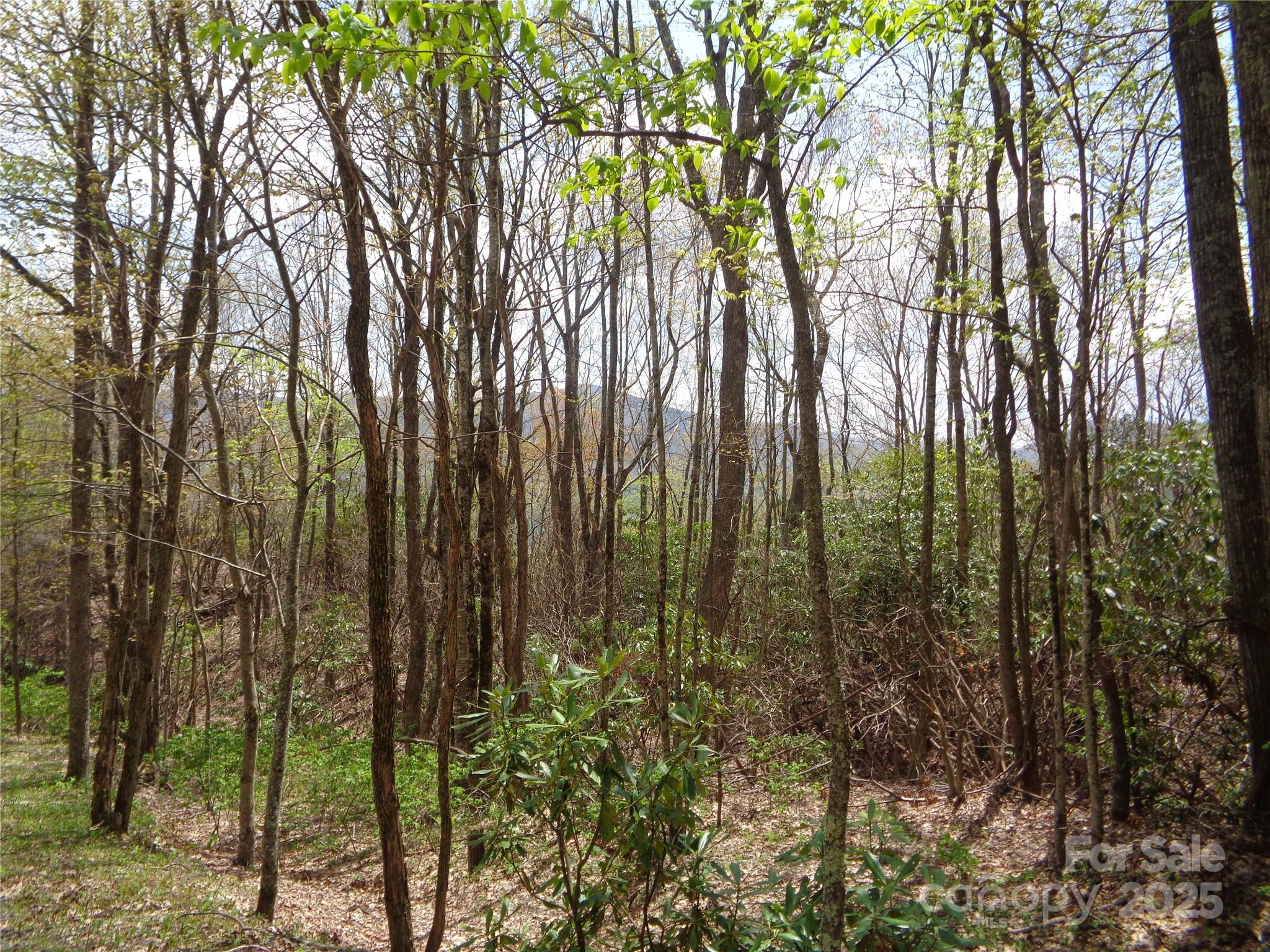 00 Bent Tree Road Property Photo 8