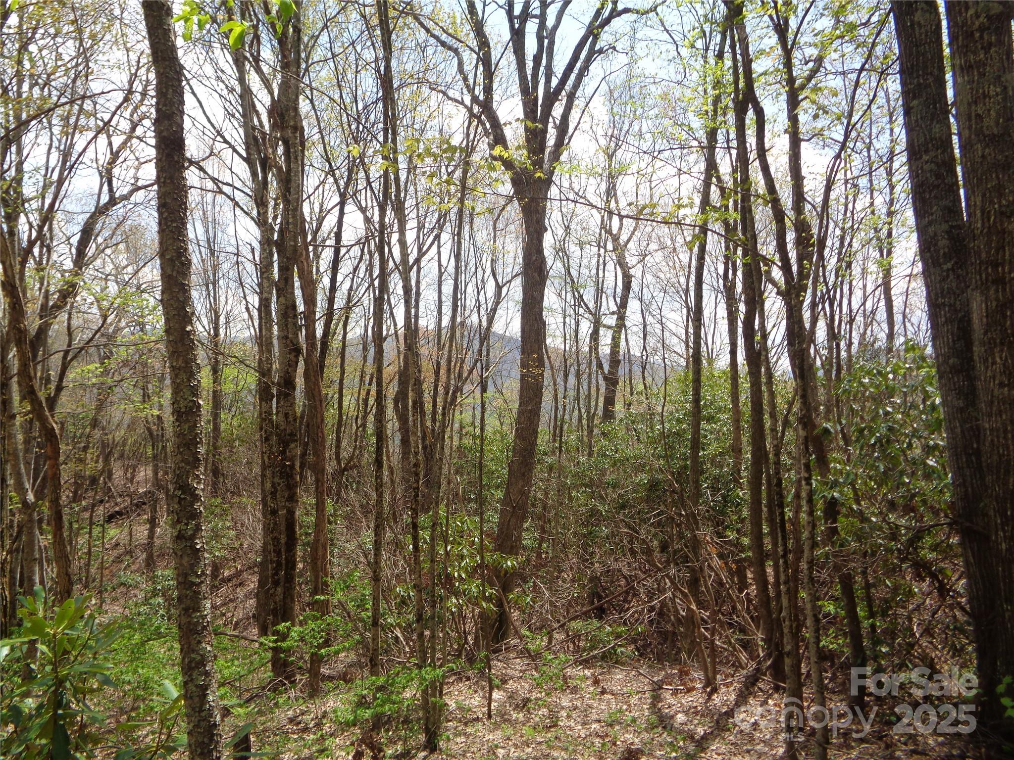 00 Bent Tree Road Property Photo 9